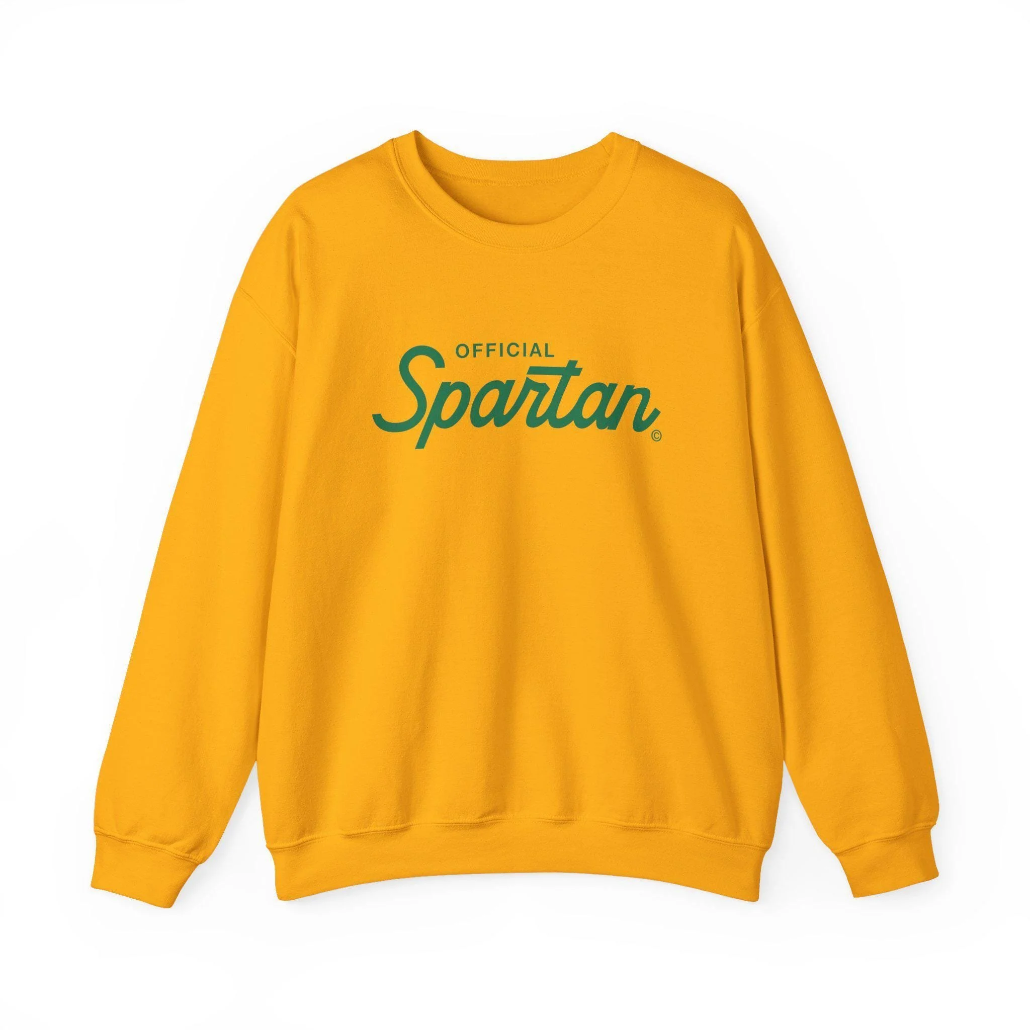 https://i.etsystatic.com/23179965/r/il/b2daad/7407542779/il_fullxfull.7407542779_1xq9.jpg