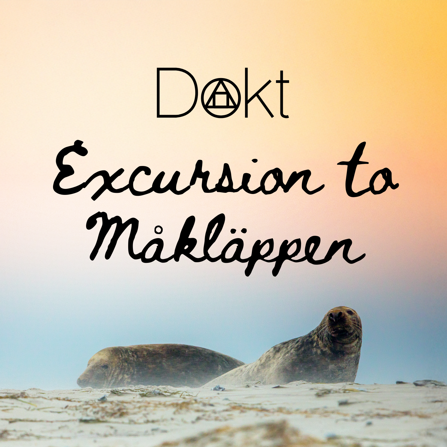 Excursion to Måkläppen.png