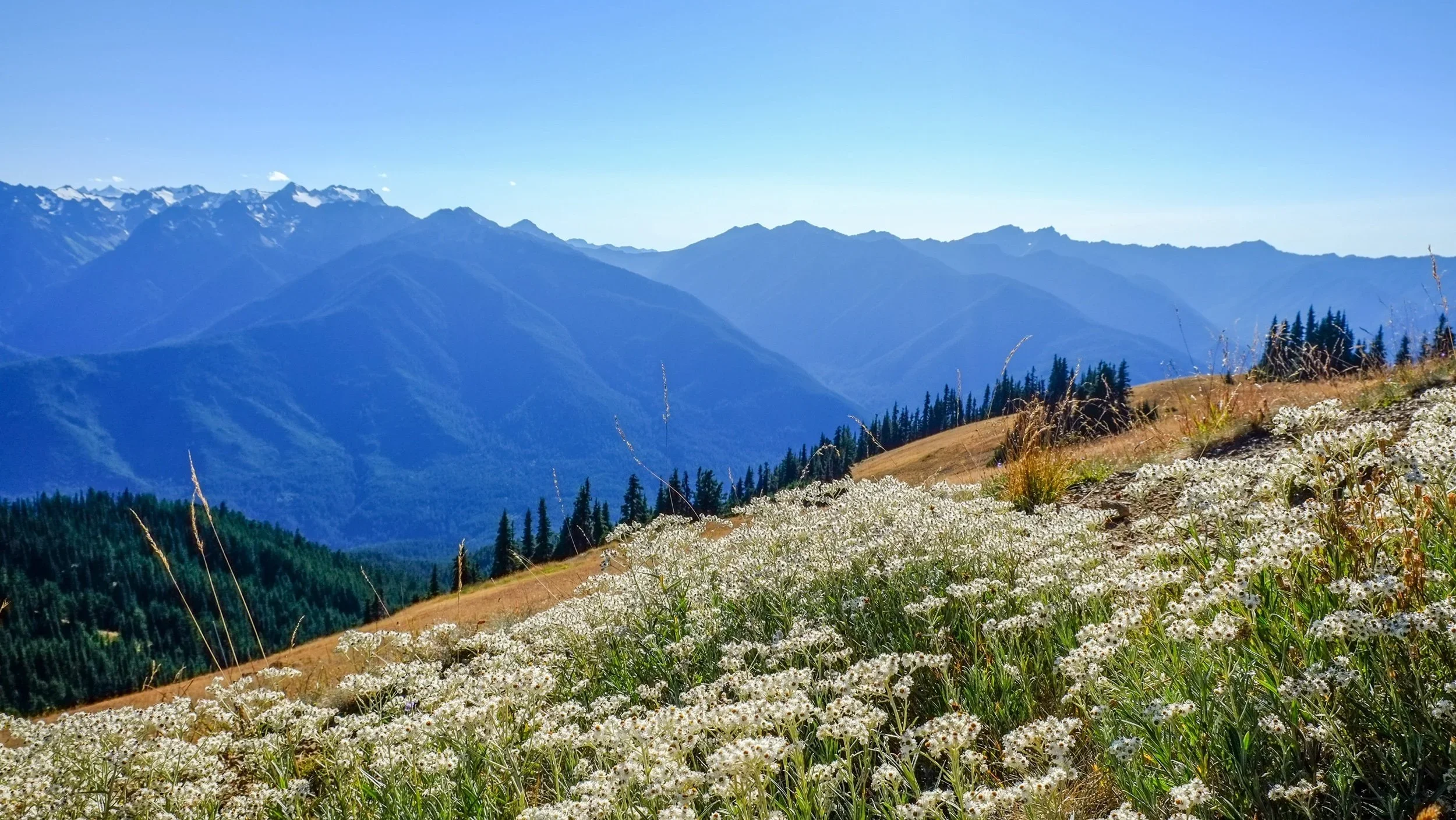 Olympic National Park, Washington, 09/01/2017