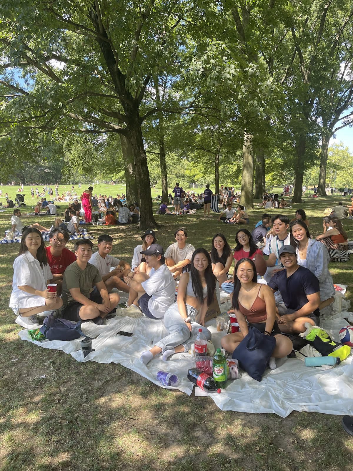 Summer 2022 Central Park Alumni Picnic