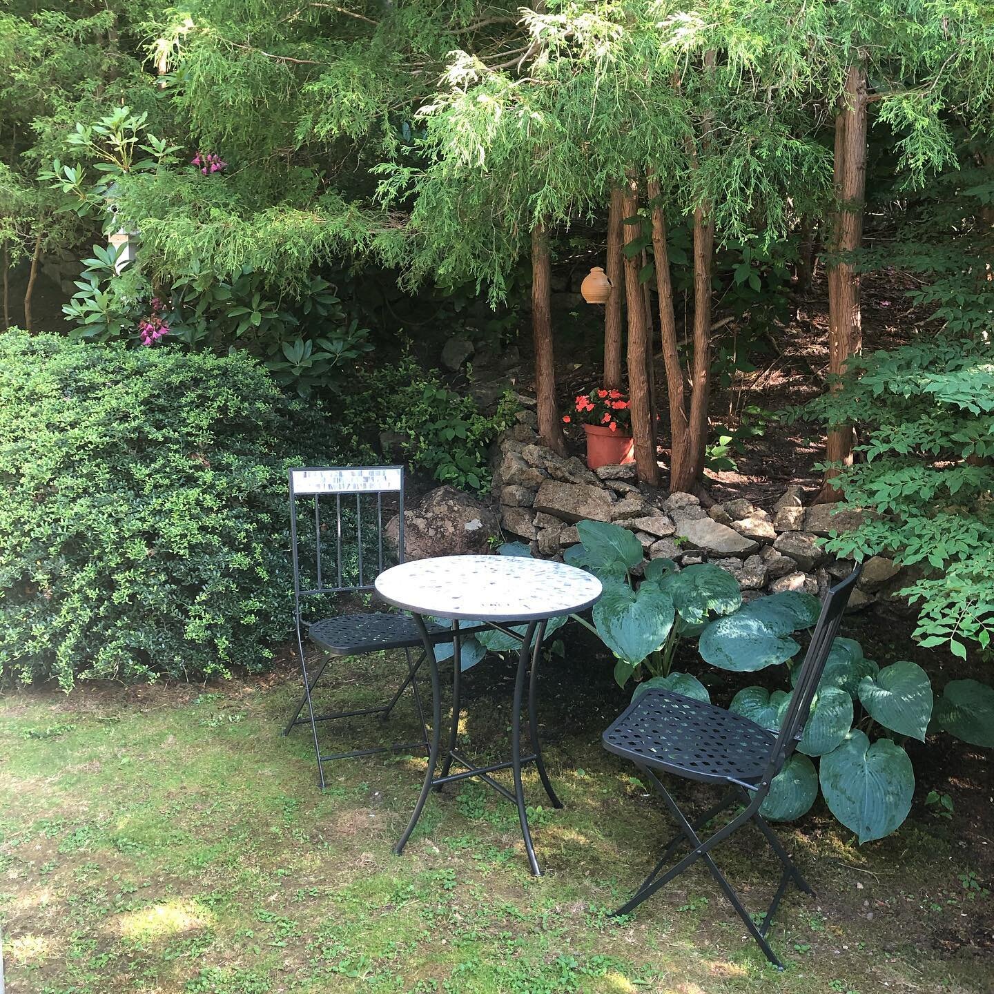 Did you know we have outdoor tables in our back garden too?

Call in your order, pick it up at our takeout window, and take a seat! 🌼🌷🌱

Outdoor seating is open Thursday - Sunday, 8am - 12pm. 

#capecodfoodies #capecodbreakfast #breakfastspot #bru