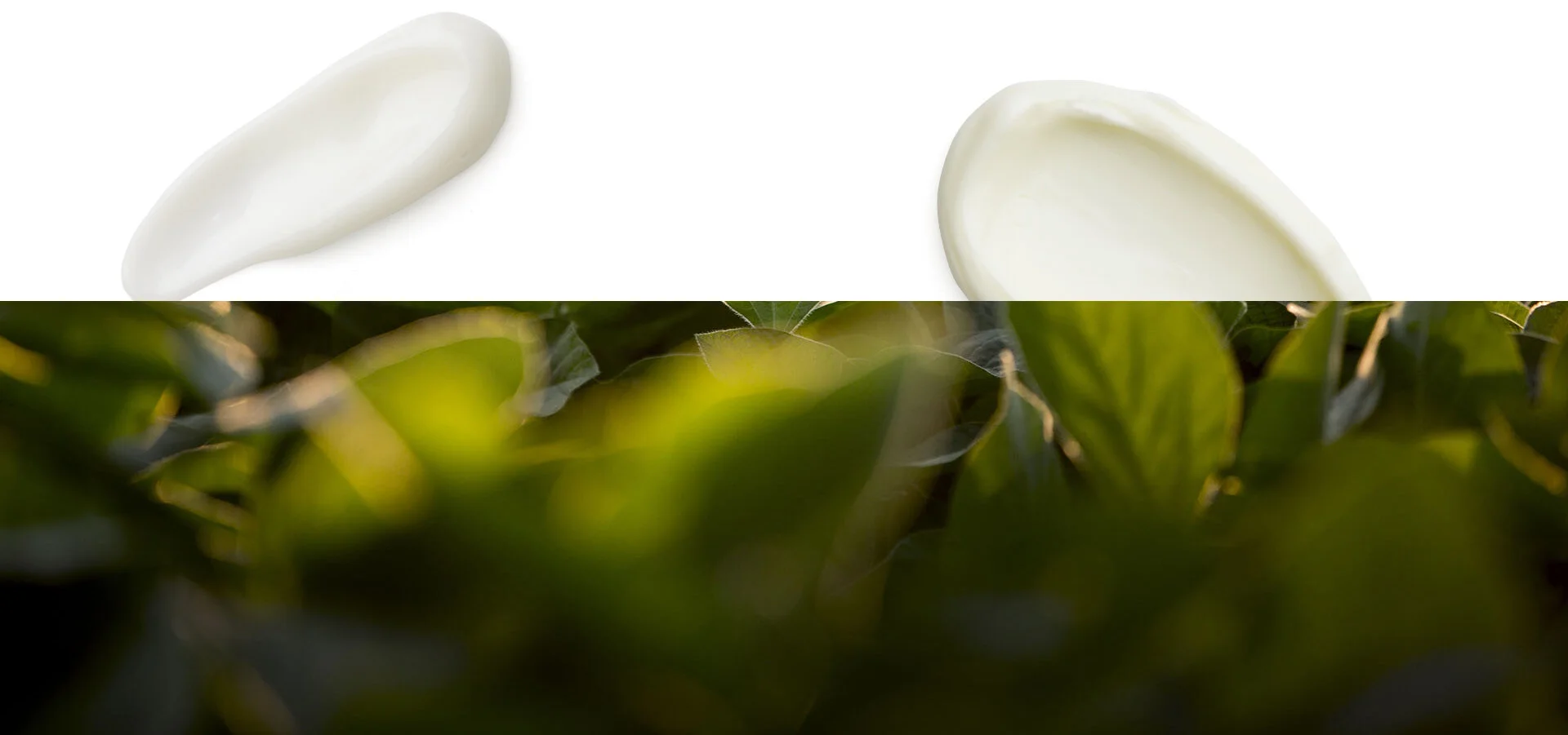 inspired_bg_3 copy.jpg