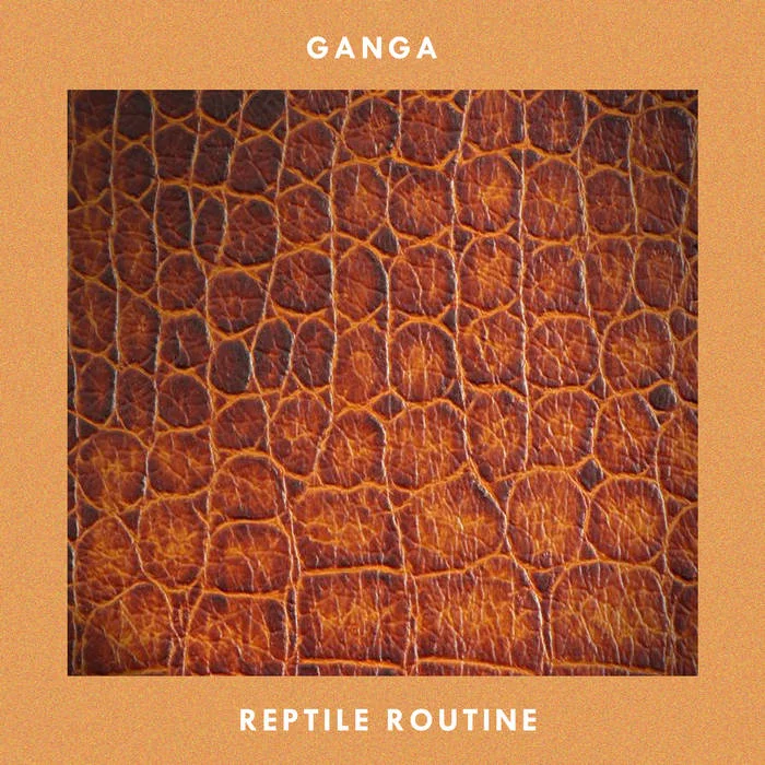 Ganga_Reptile_Routine.jpg