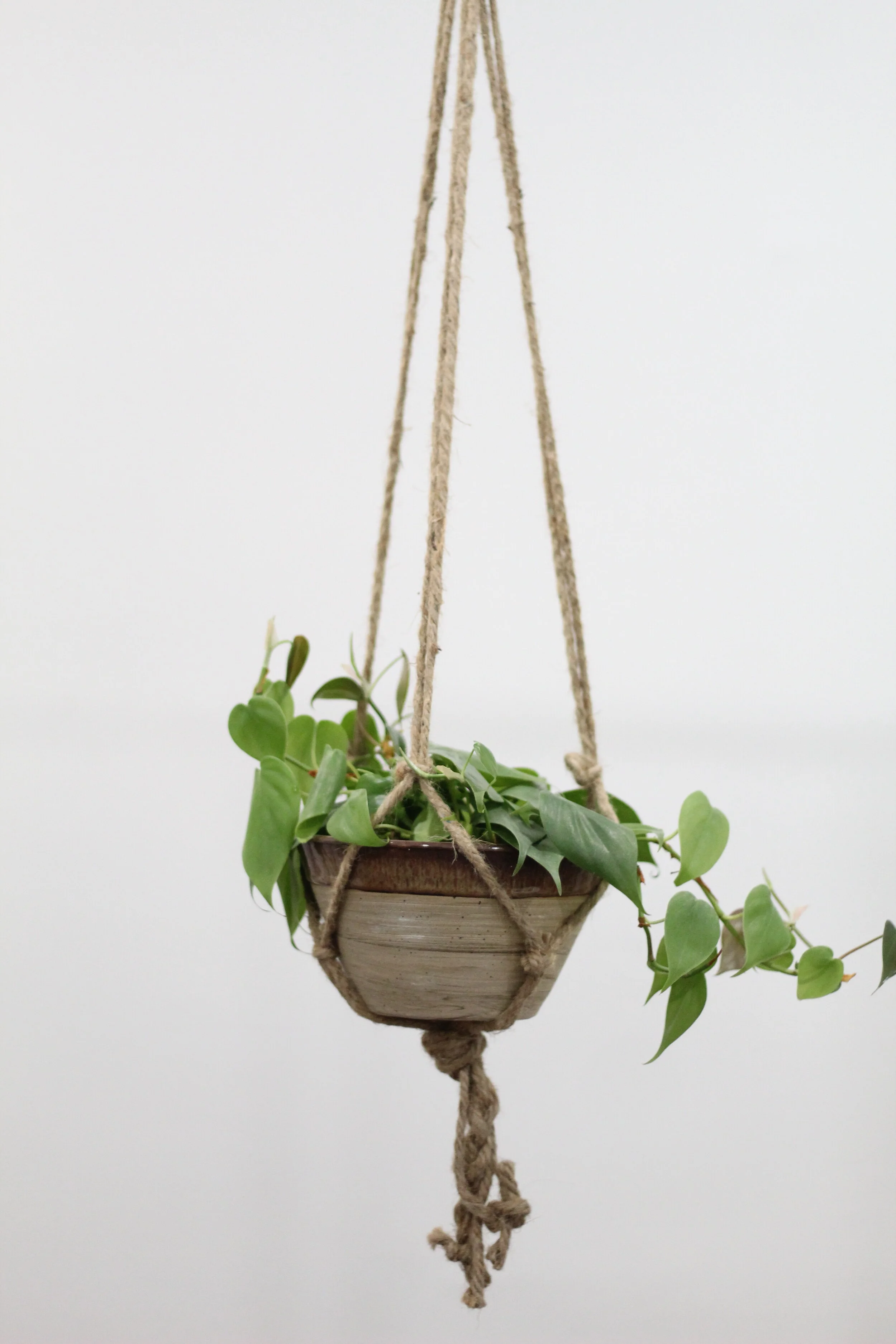 Hanging Planter