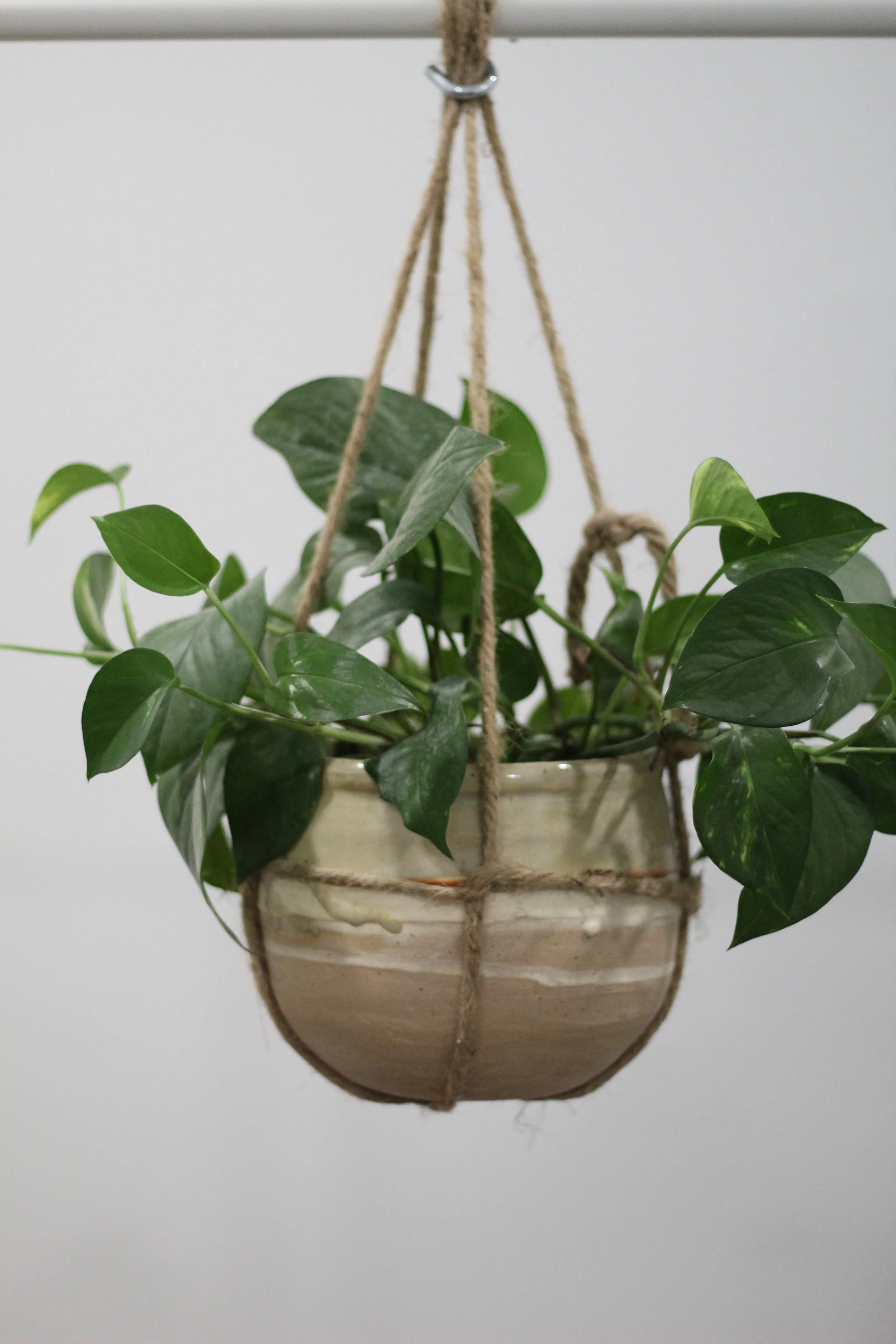 Hanging Planter