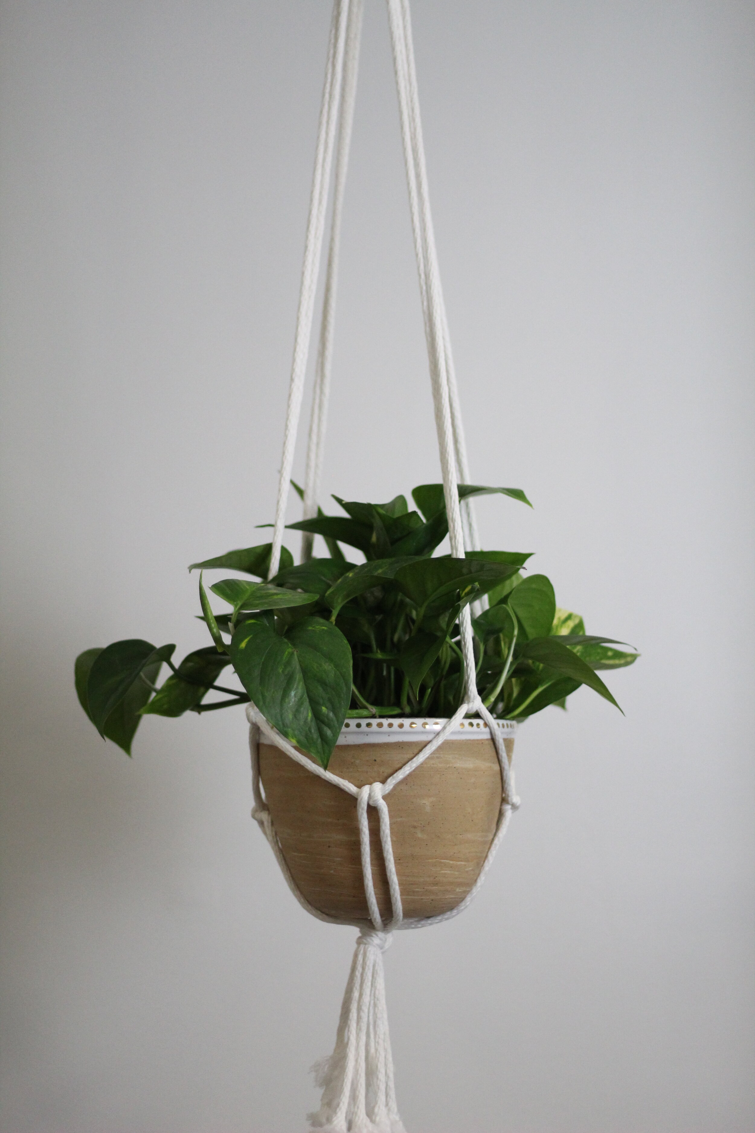 Gold Dotted White Rim Hanging Planter