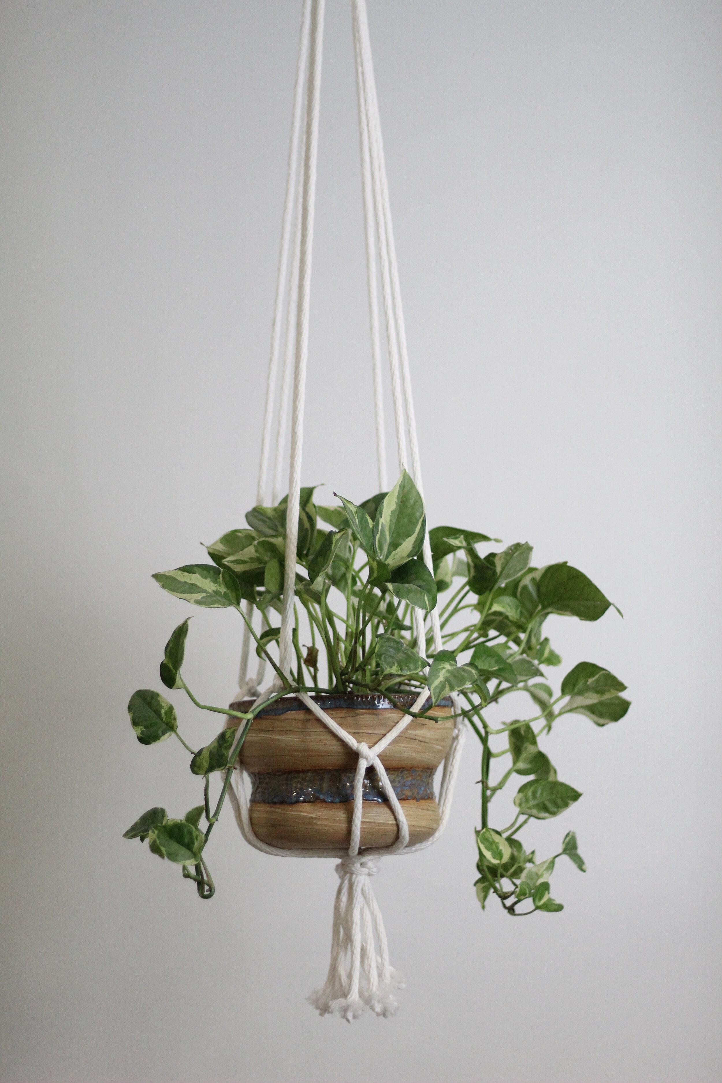 Carved Band Hanging Planter