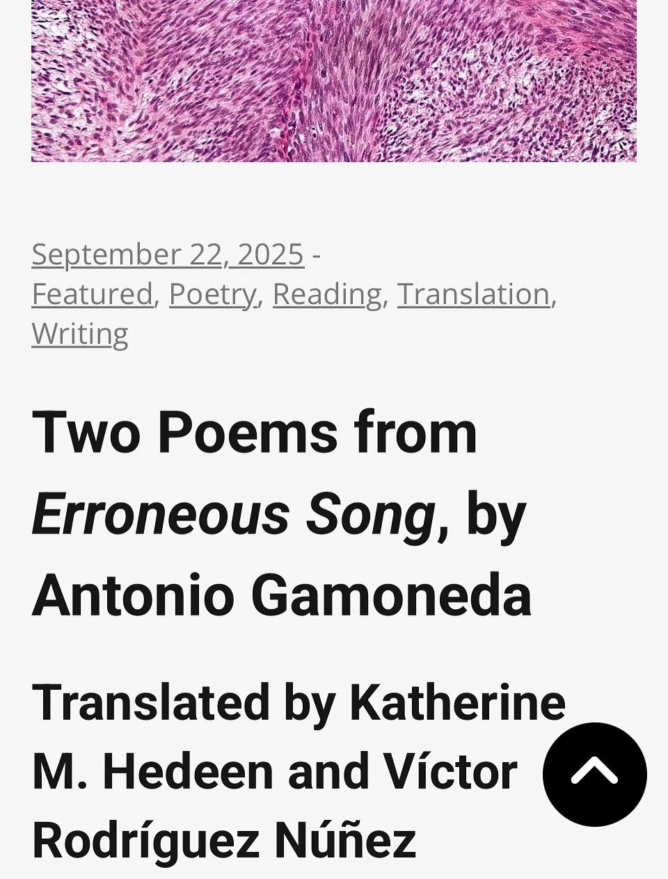 new translations from Antonio Gamoneda&rsquo;s Erroneous Song up now at @bigothermag!
check them out here:
https://bigother.com/2025/09/22/two-poems-from-erroneous-song-by-antonio-gamoneda/amp/

#antoniogamoneda
#gamoneda