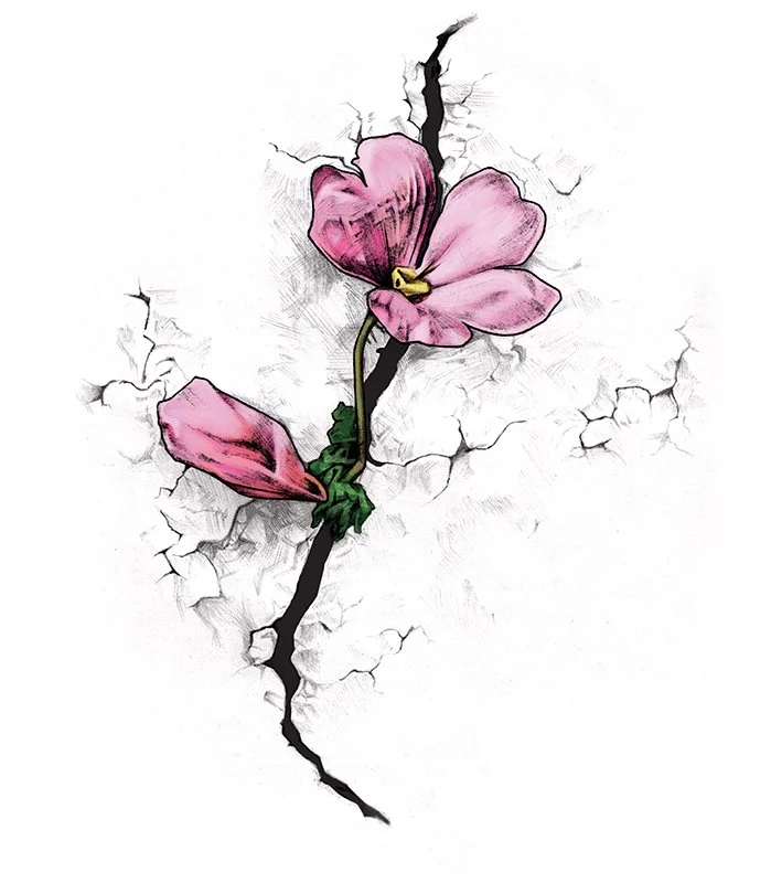 Primitve_ROSE_website.jpg