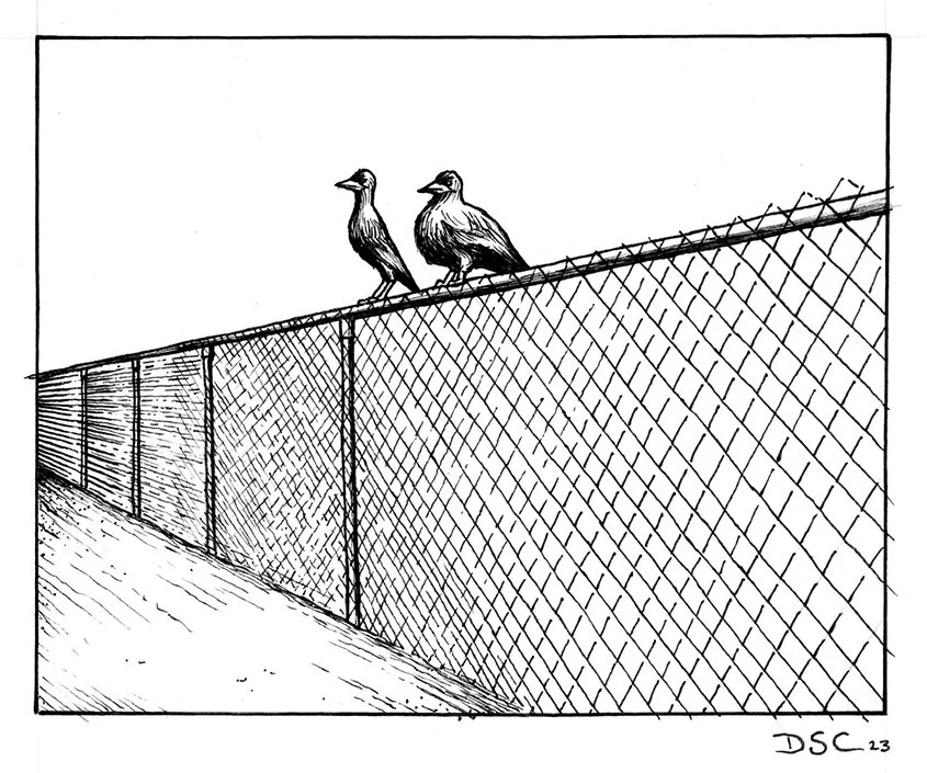 On The Fence copy.jpg