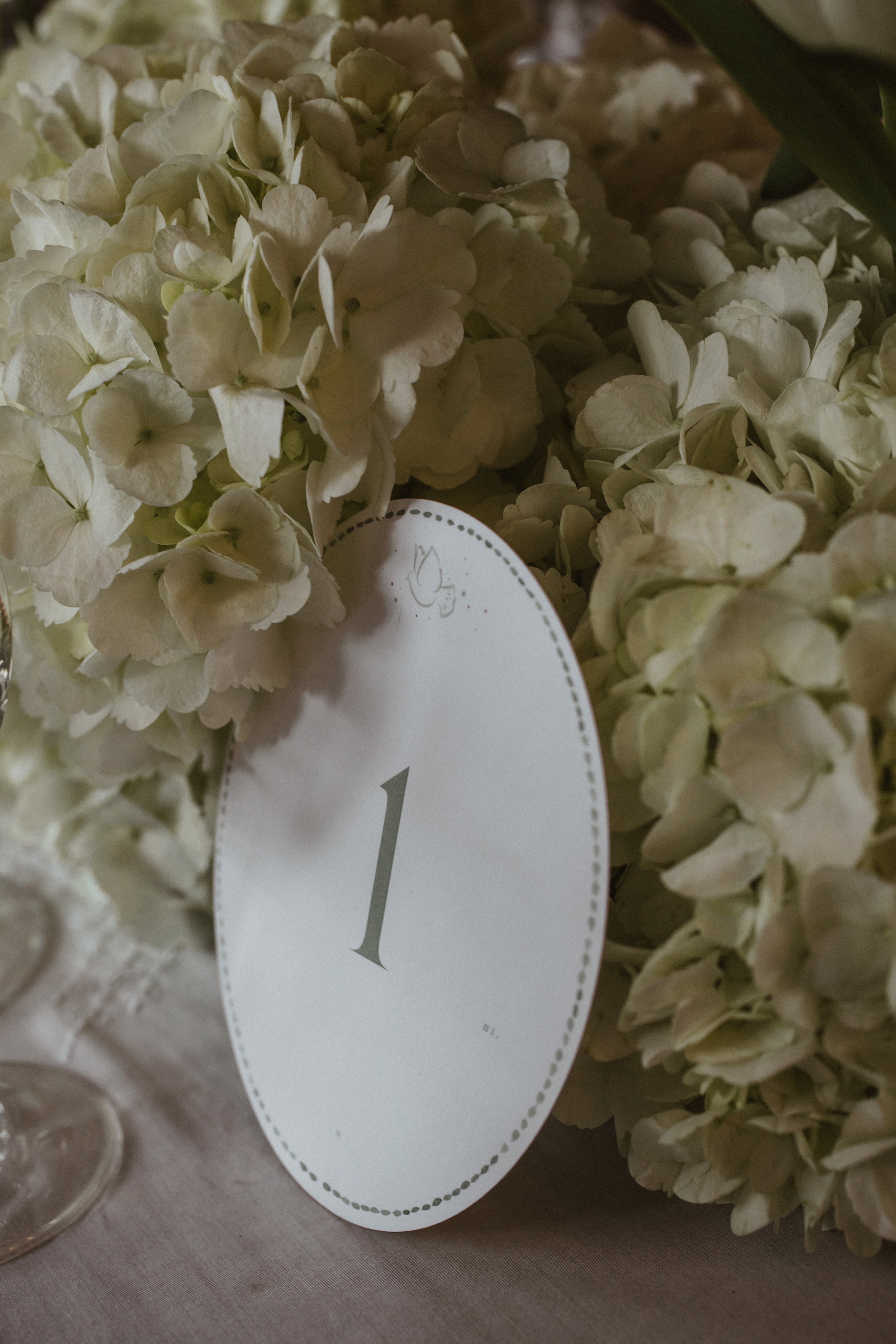 Batizado MC&A 0209.jpg