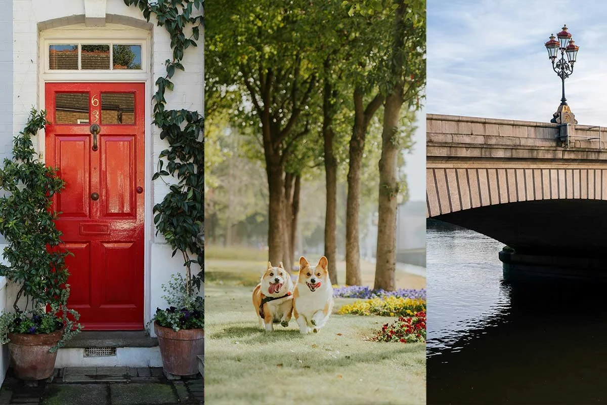 Best Green Spaces for Small Dogs in Fulham