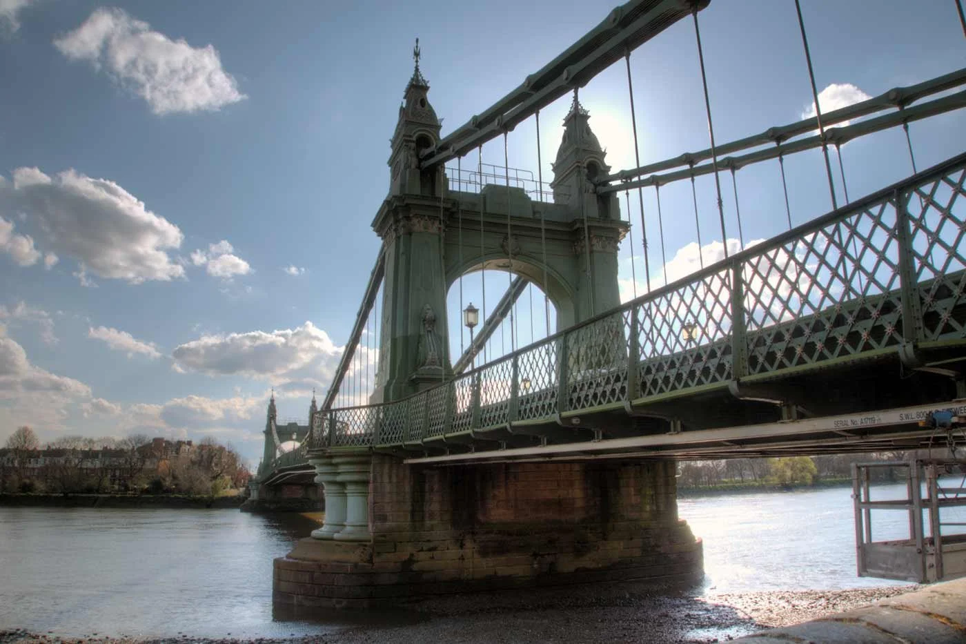 Living with a Dog in Hammersmith