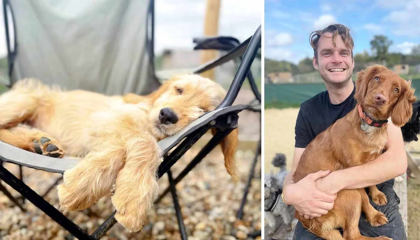 Behaviour during day care that indicates enjoyment