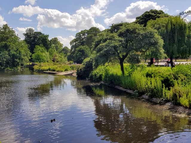 Lake and trees in Ravenscourt Park, Hammersmith