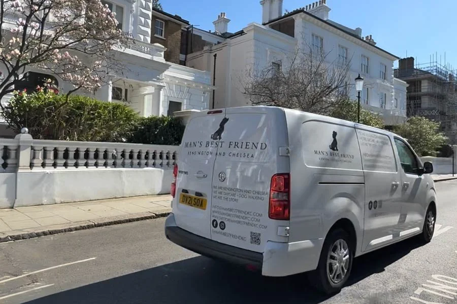Man's Best Friend van