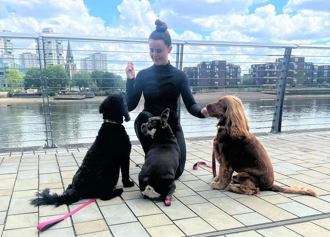 Riverside dog walk in Chelsea, London