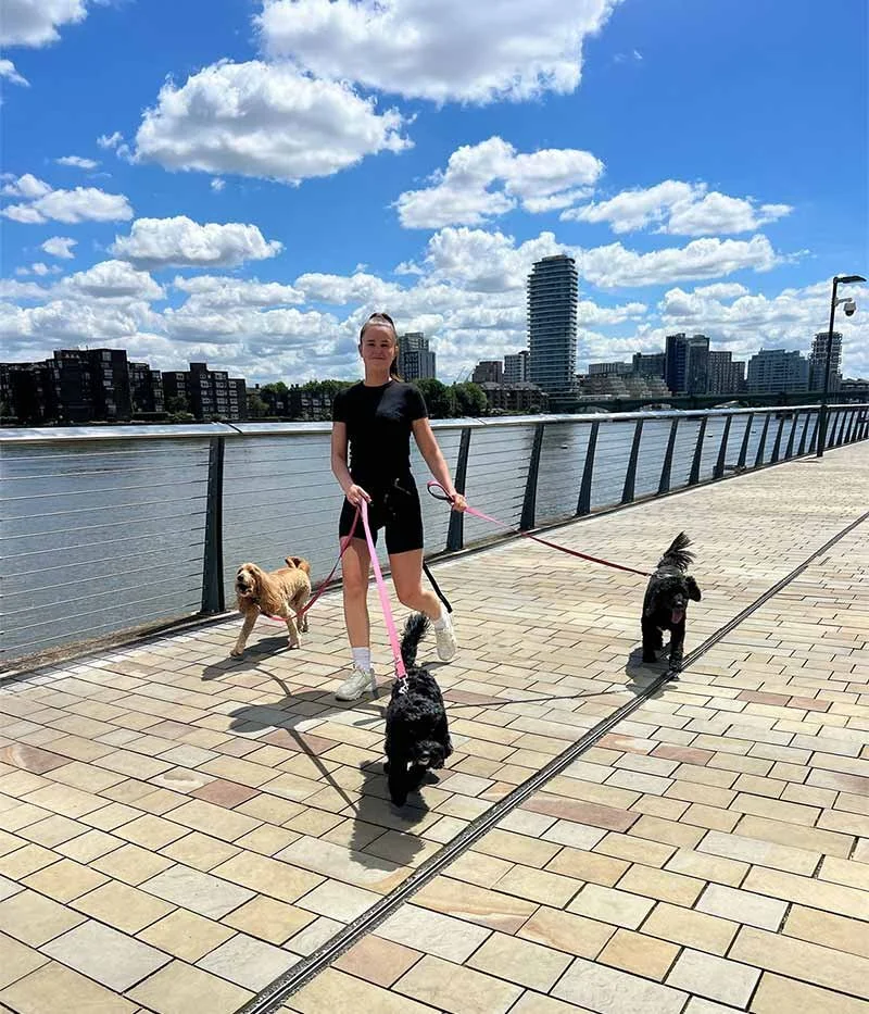 Professional Dog Walking London