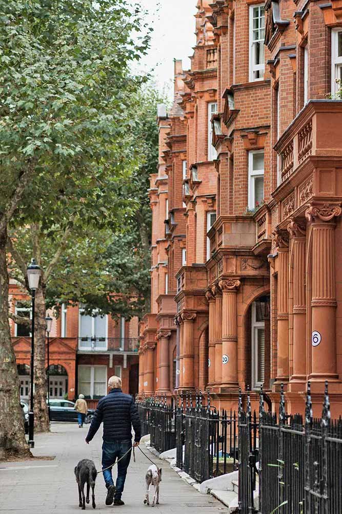 Man walking two dogs along a red brick residential street in Kensington London