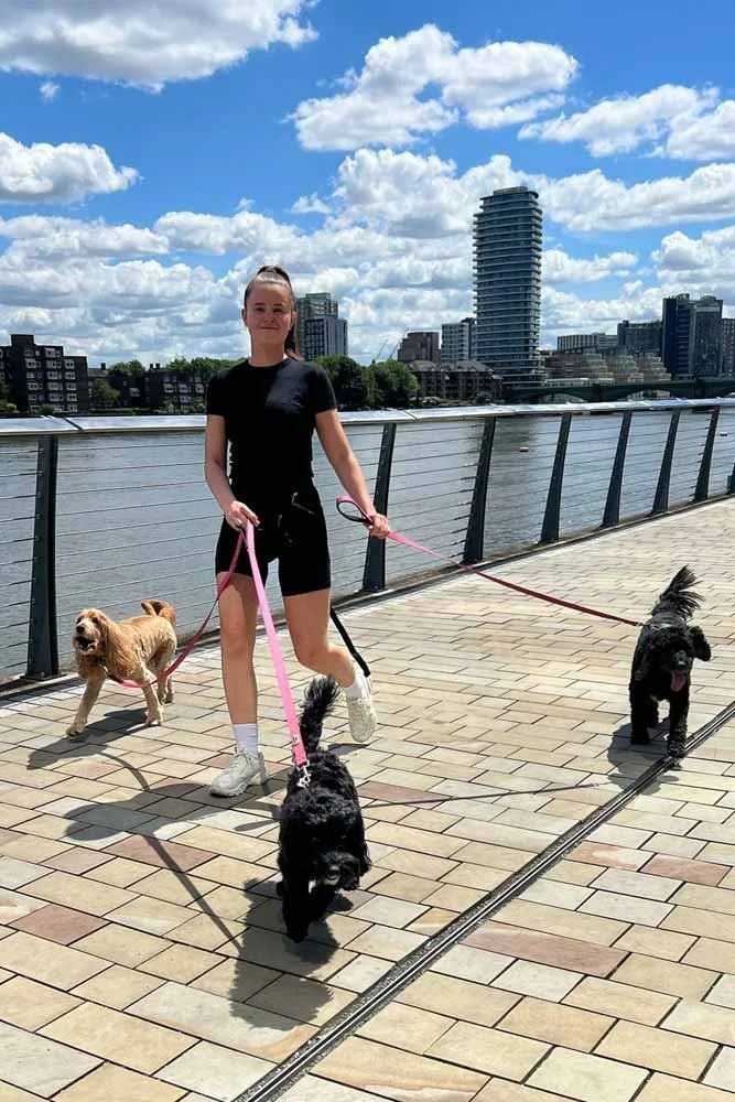 Dog walking in London with small dogs on leads by the riverside in Chelsea London