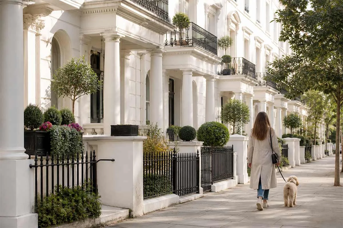 Dog walking on a Chelsea residential street in London