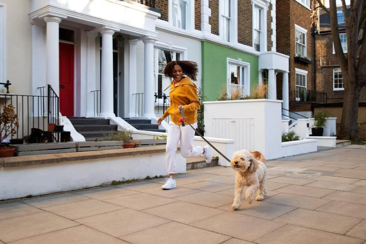 Large pavements and walkability help the dog owners in Notting Hill