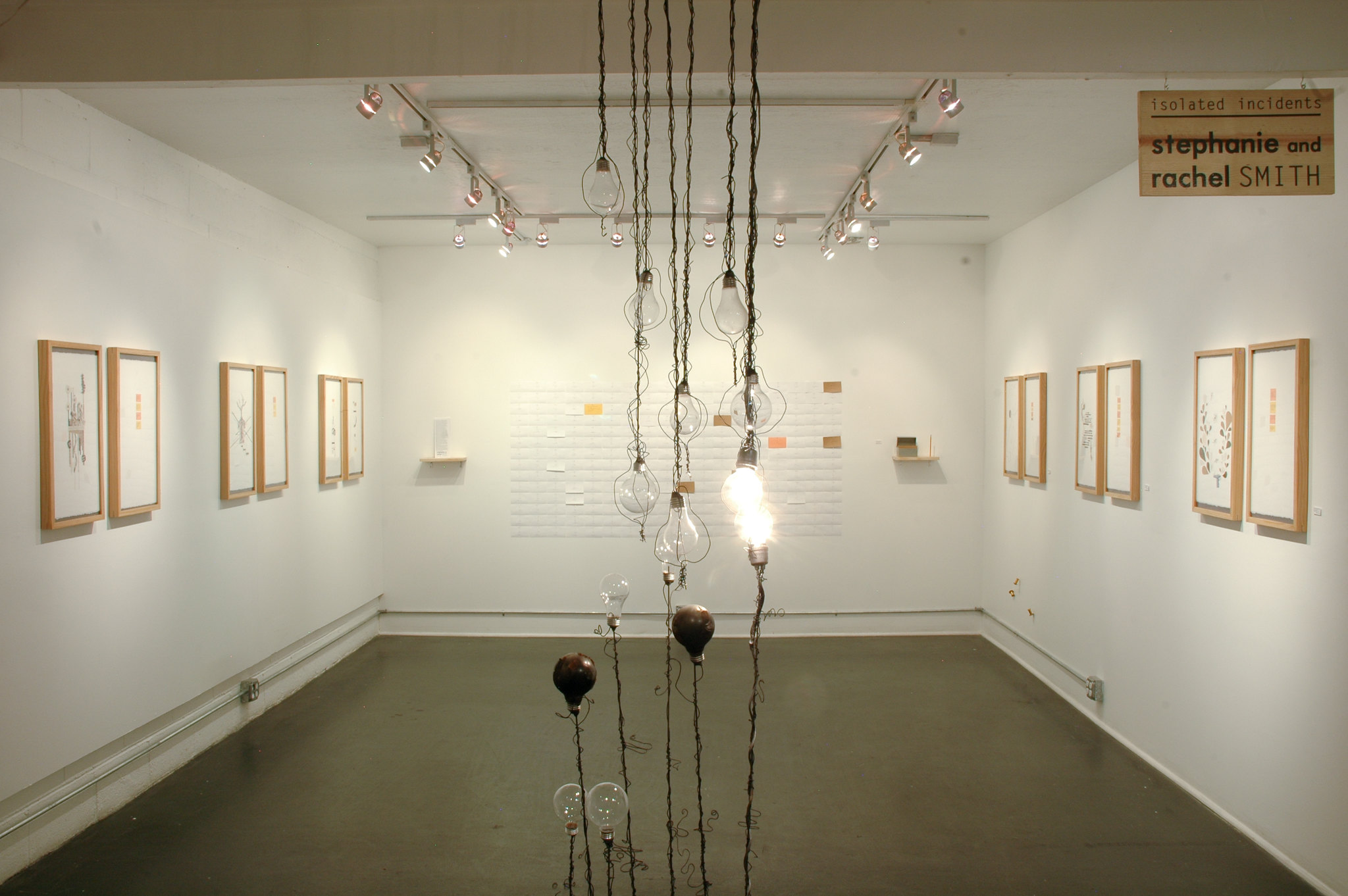   Isolated Incidents  (installation view) Photo: Holland Project Gallery 