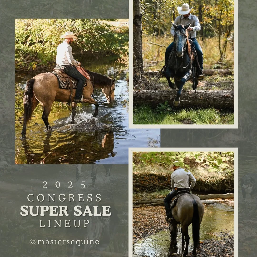 🌟Our Congress Super Sale Lineup🌟

It&rsquo;s that time of year again&hellip; we&rsquo;re are gearing up for the Congress @qhsupersale on October 18! 

Meet Mickey, Laredo, and Steel: three handsome geldings we will be offering through the sale, eac