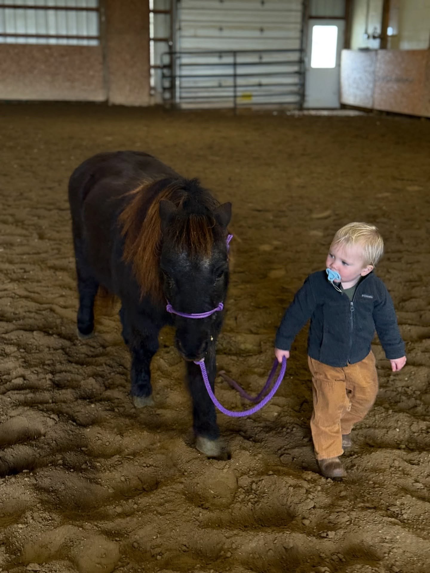 Neither one of them can talk, but they are talking the same language.