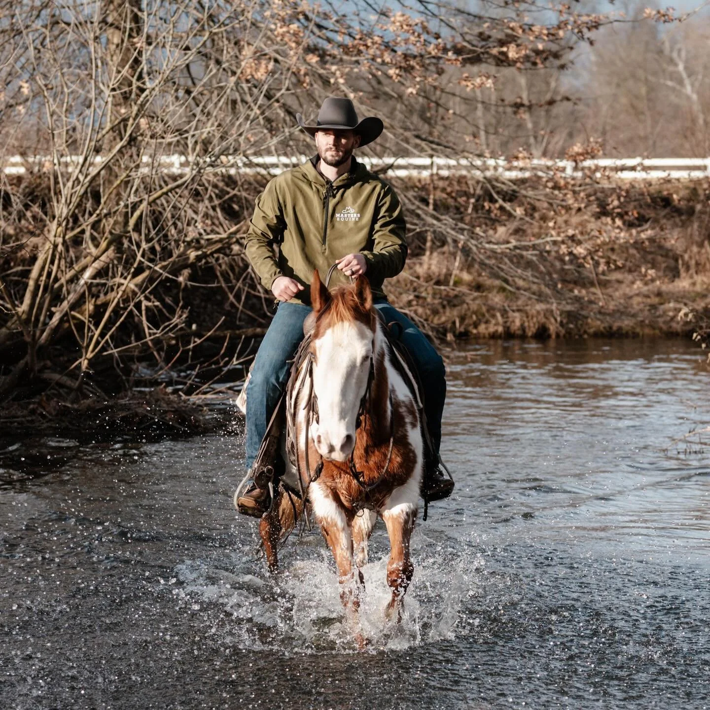 A few fresh faces on the website:
✨Daniel Tiger + Roo✨

It&rsquo;s been a bit quiet over here through the holidays but we are excited to kick off the new year with these two sweet, family-friendly geldings! Stay tuned for more on Daniel Tiger and Roo