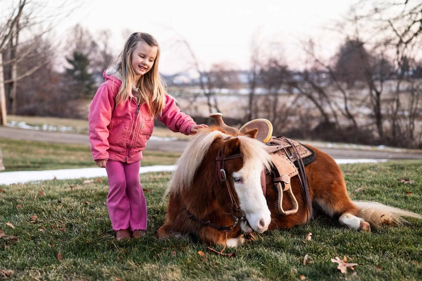 Spanky🤍🤎

This precious little guy has stayed around the farm a bit longer than most ponies because 1. We adore him🥹&hellip; and 2. We&rsquo;ve been saving him for something special! 

We are so excited to offer him at the @southern_belle_classic 