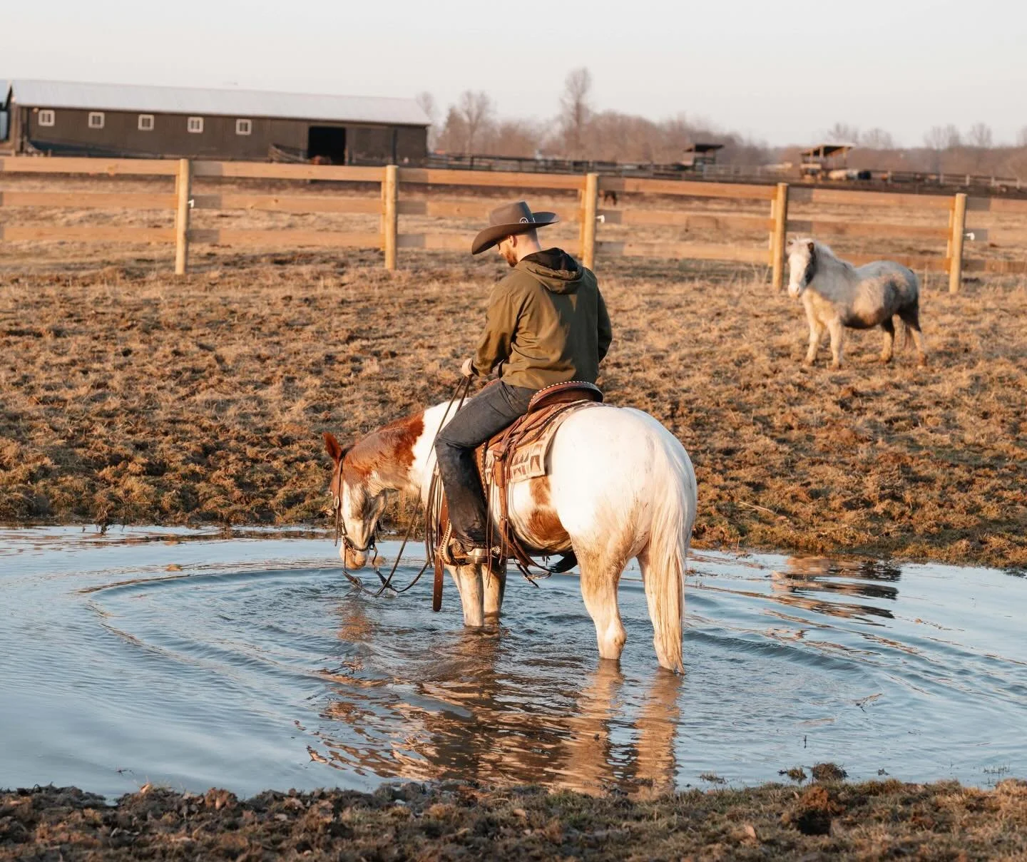 Pinocchio checks so many boxes: steady and careful on the trail, smooth in the arena, and a personality that&rsquo;s guaranteed to make you smile. This flashy gelding has been such a joy to have around 🤎

He will be offered in just 2 weeks at the So