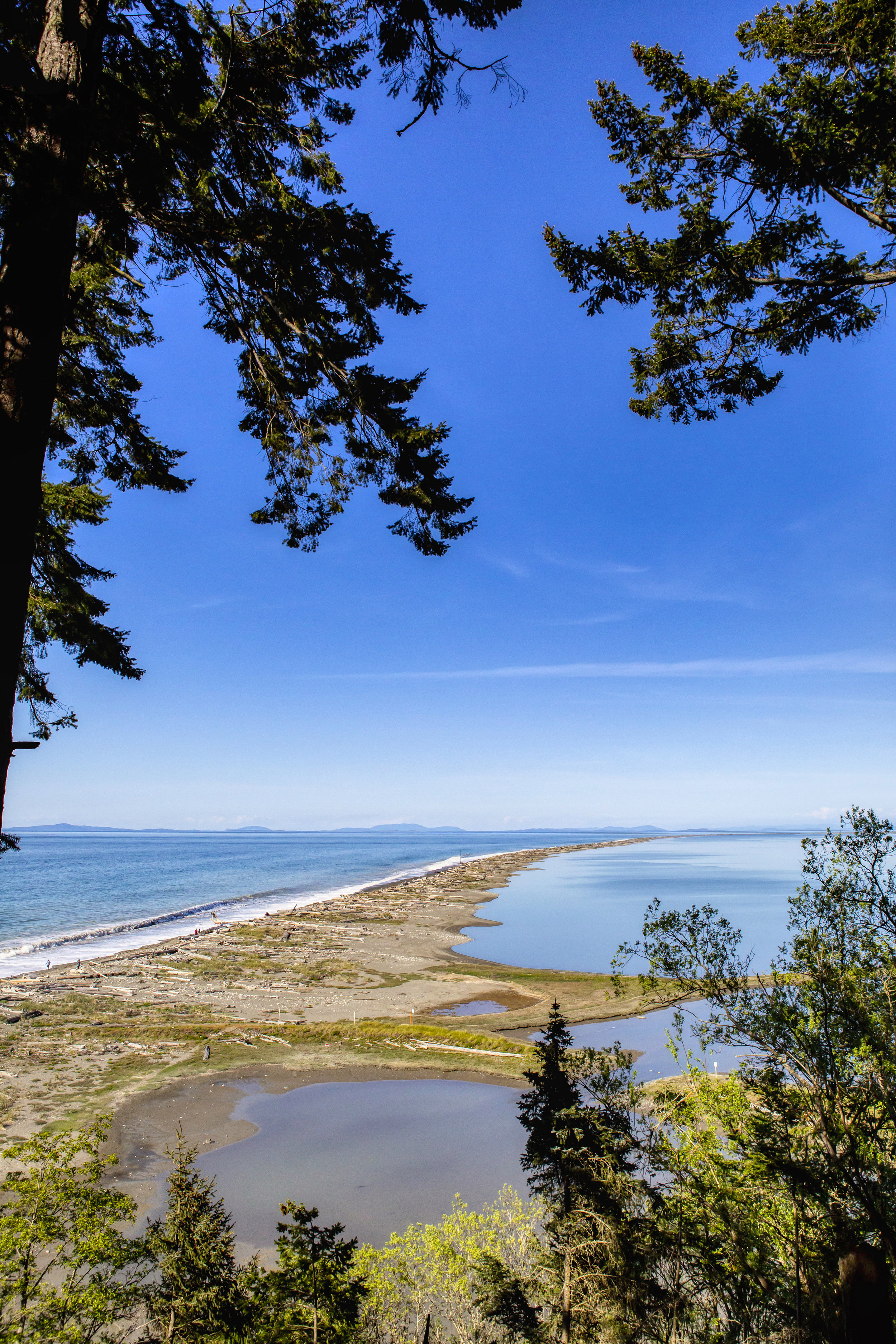 PNWVaca_050519_183.jpeg