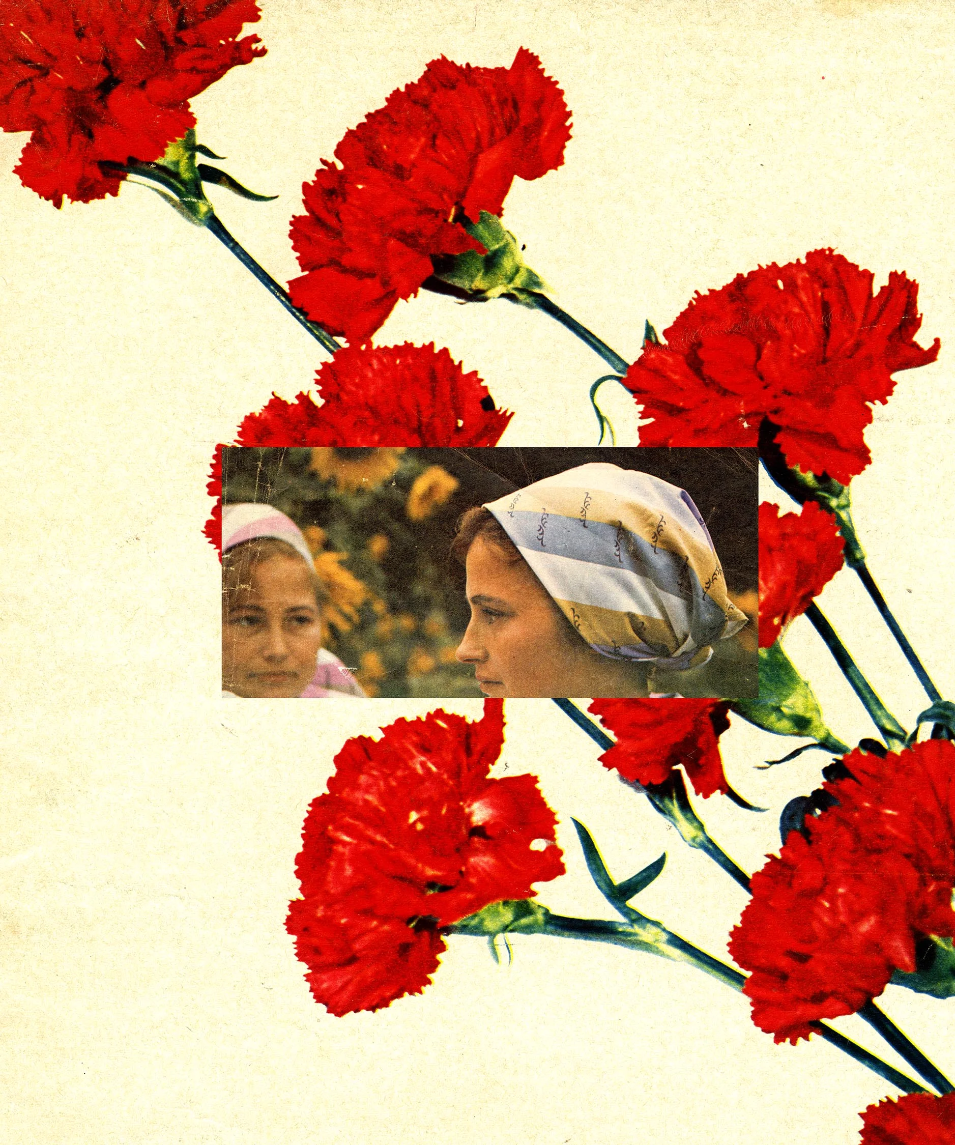 WEBSITEgayflowers.jpg