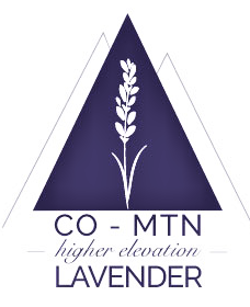 Colorado Mountain Lavender 