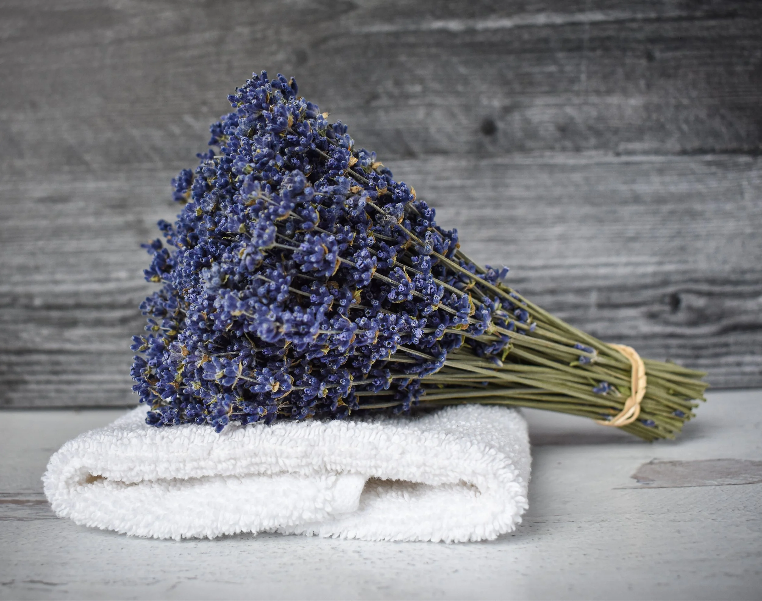 hand harvested lavender