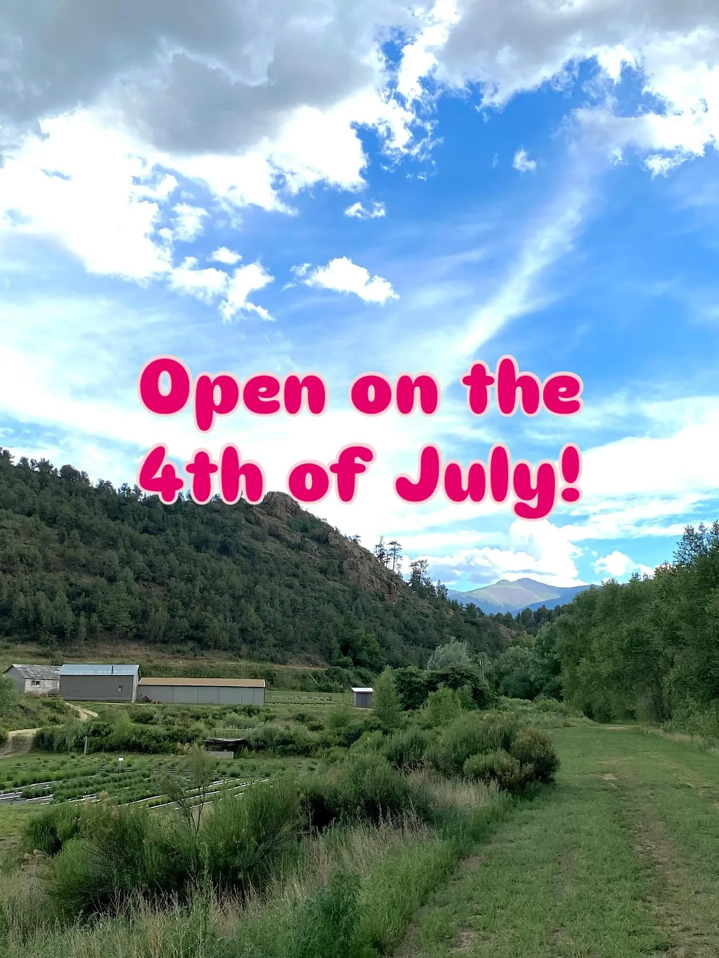 Cool Off at the Lavender Farm!
11-4p July 4th
Enjoy our refreshing lavender lemonade - now available as a take-home blend! Just add water &amp; ice for the same great taste made with real lavender from our fields.
Sip, relax, and celebrate with us 🇺