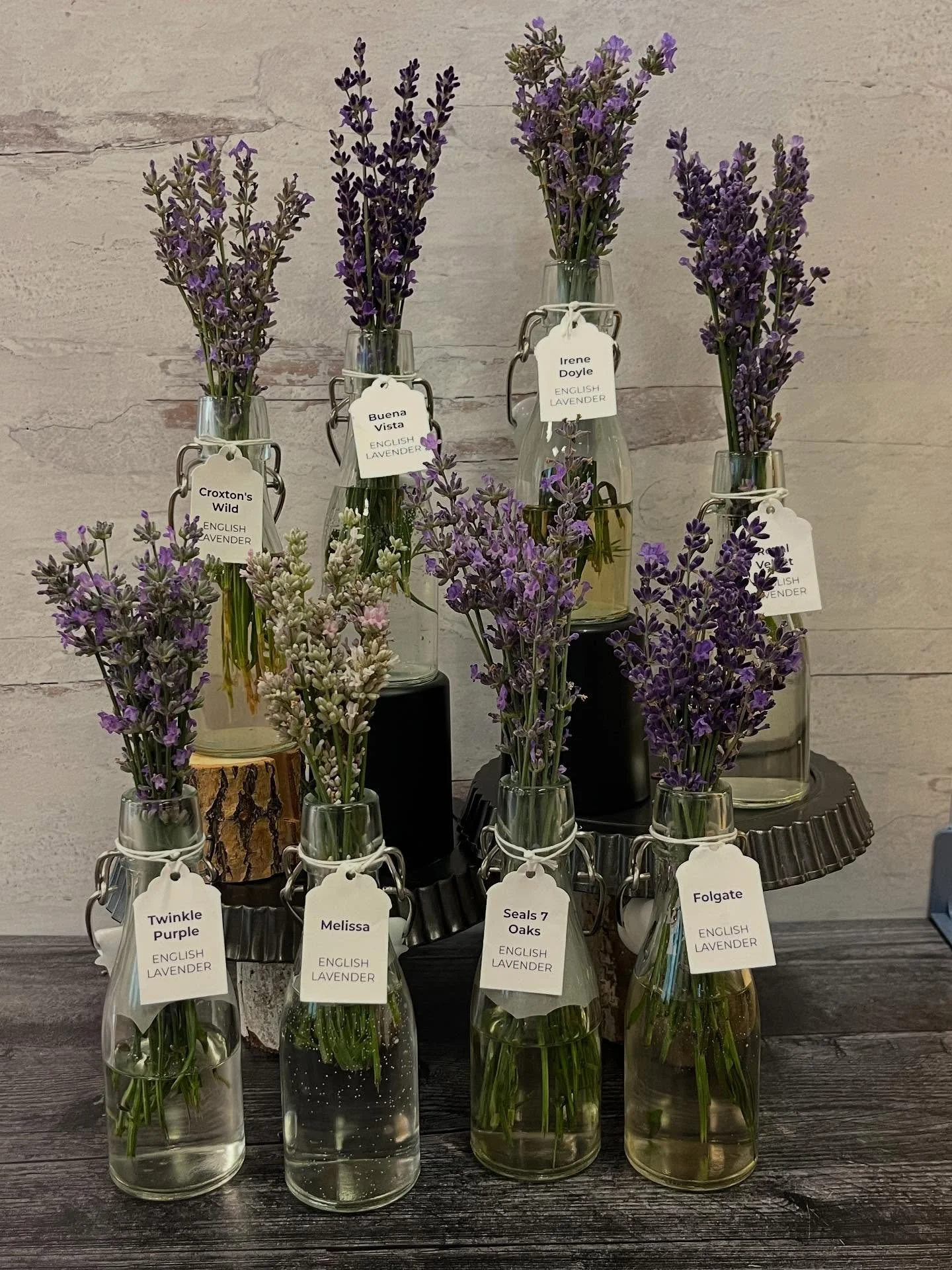Remember class pictures from school? Most people hated those but we love these - introducing our Class of 2025! 
12 of the 15 varieties we grow and to be honest, some had higher &lsquo;GPA&rsquo;s&rsquo; than others this year, but we love them all!