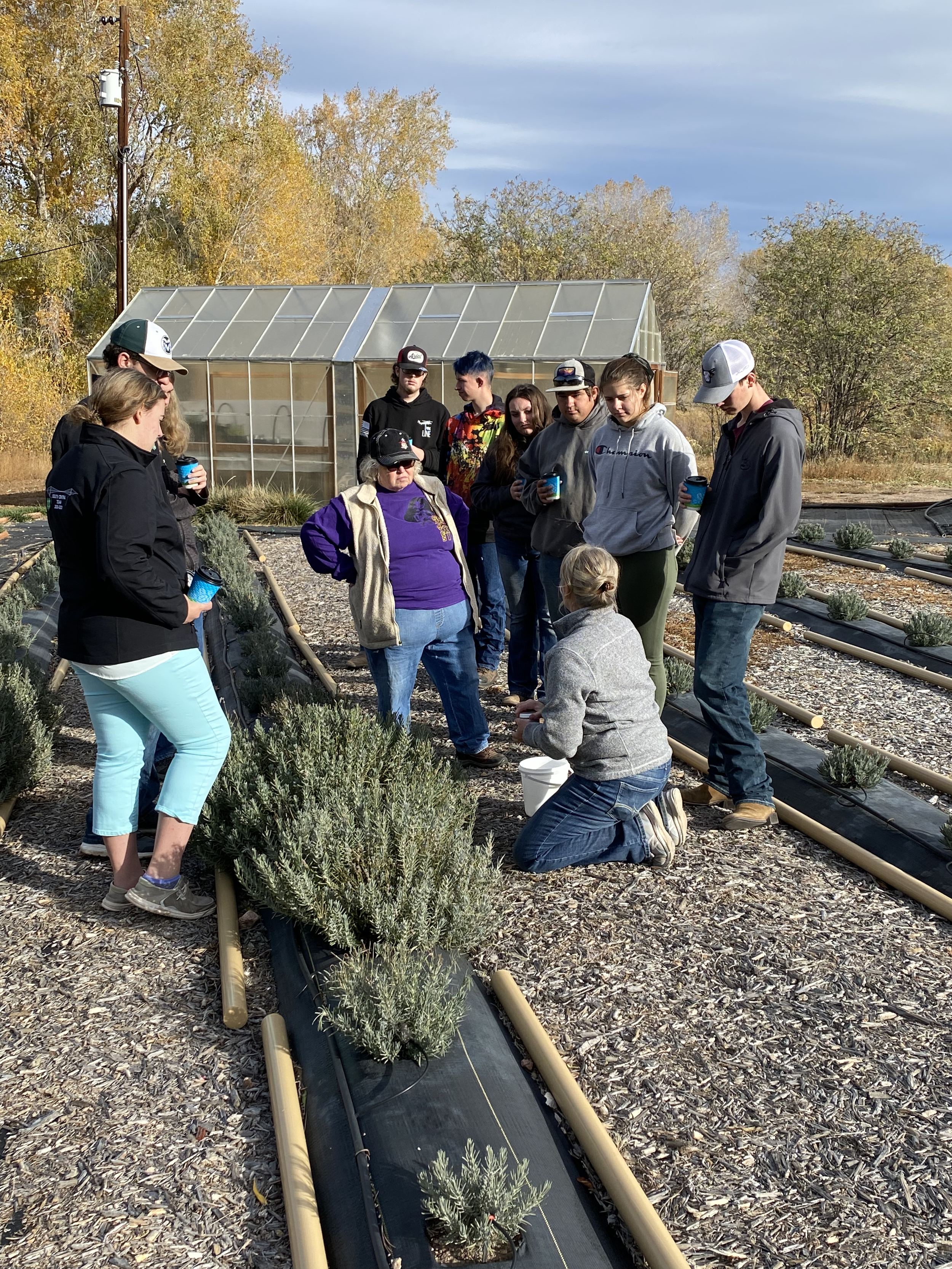 Propogation Demo with HS.png