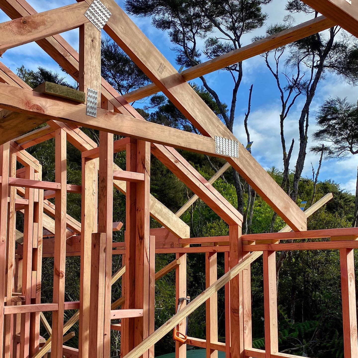 Bracing and fixing the framing plumb to the millimetre 👌 @island2000.nz 

#buildlocal #waihekebuilders #island2000nz #construction #framing #architecturenz #timber #waihekeislandnz #trusses #building