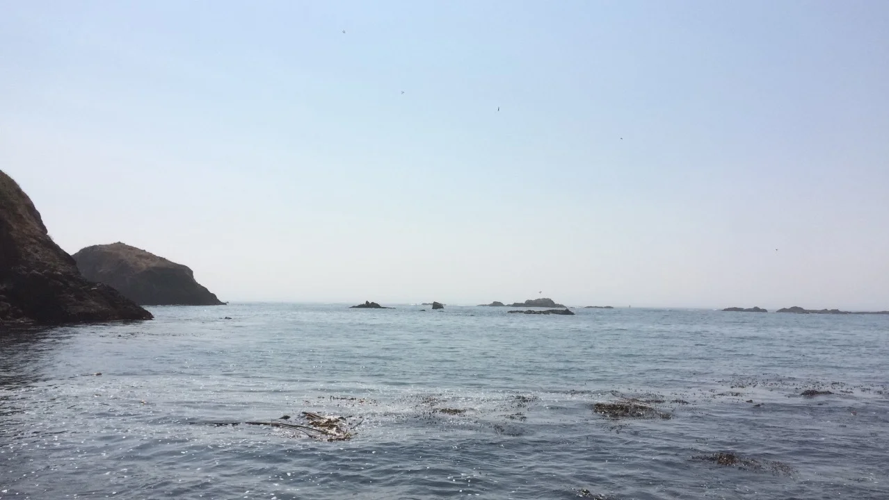 IMG_0552.JPG