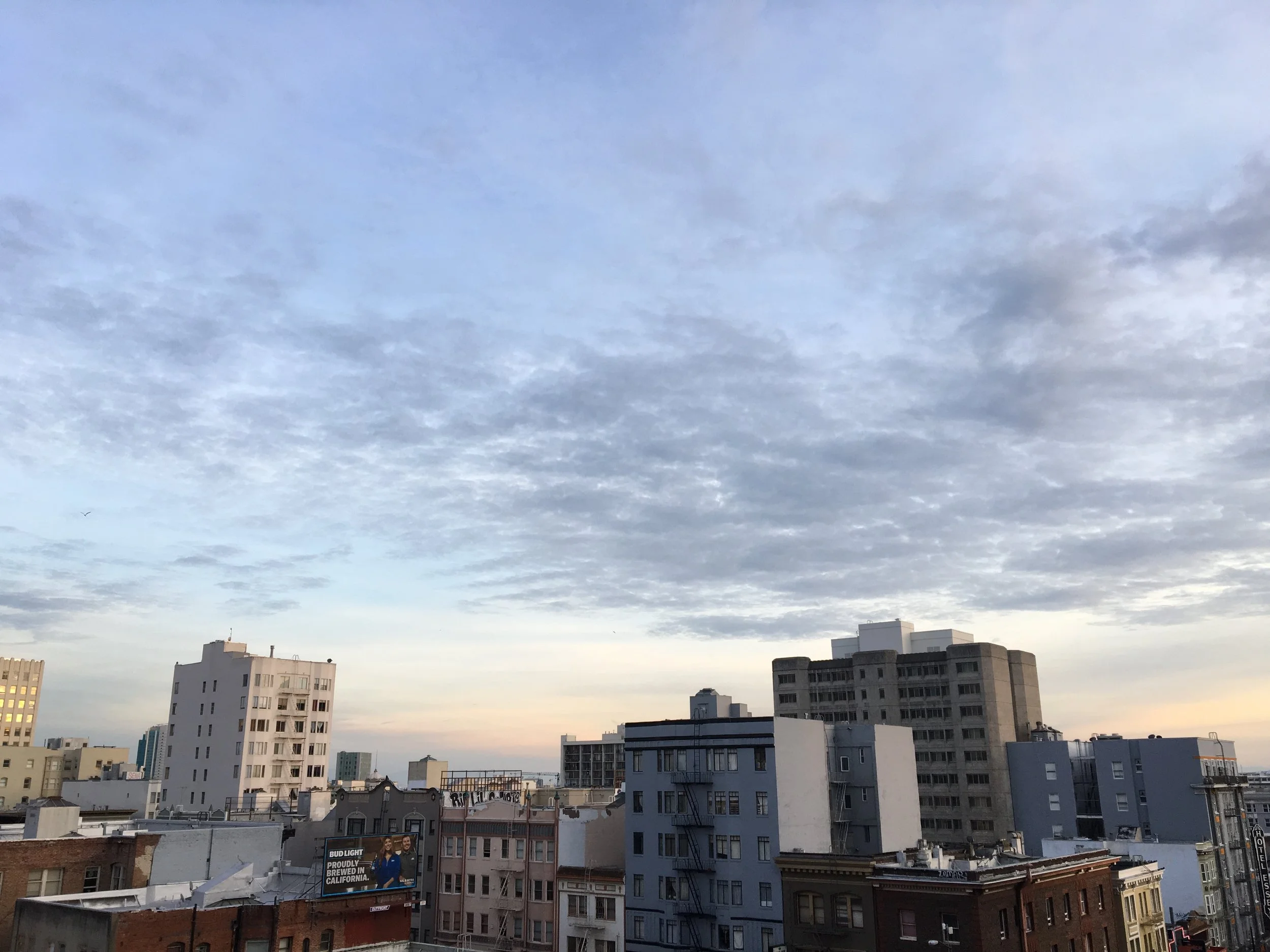IMG_1264.JPG
