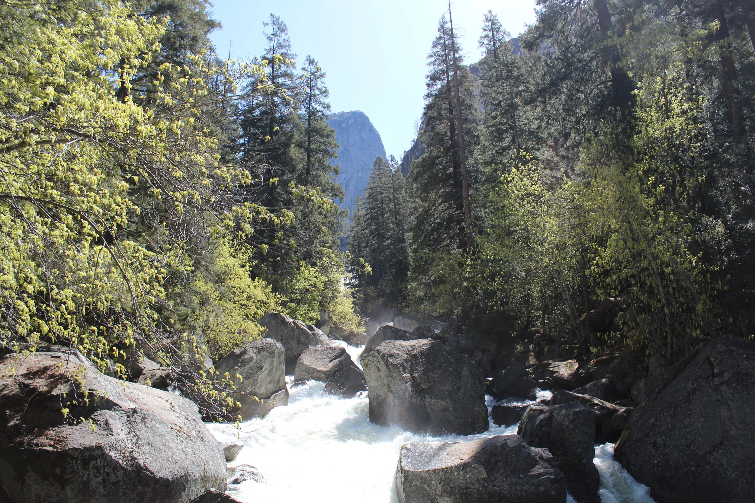 IMG_6688.JPG