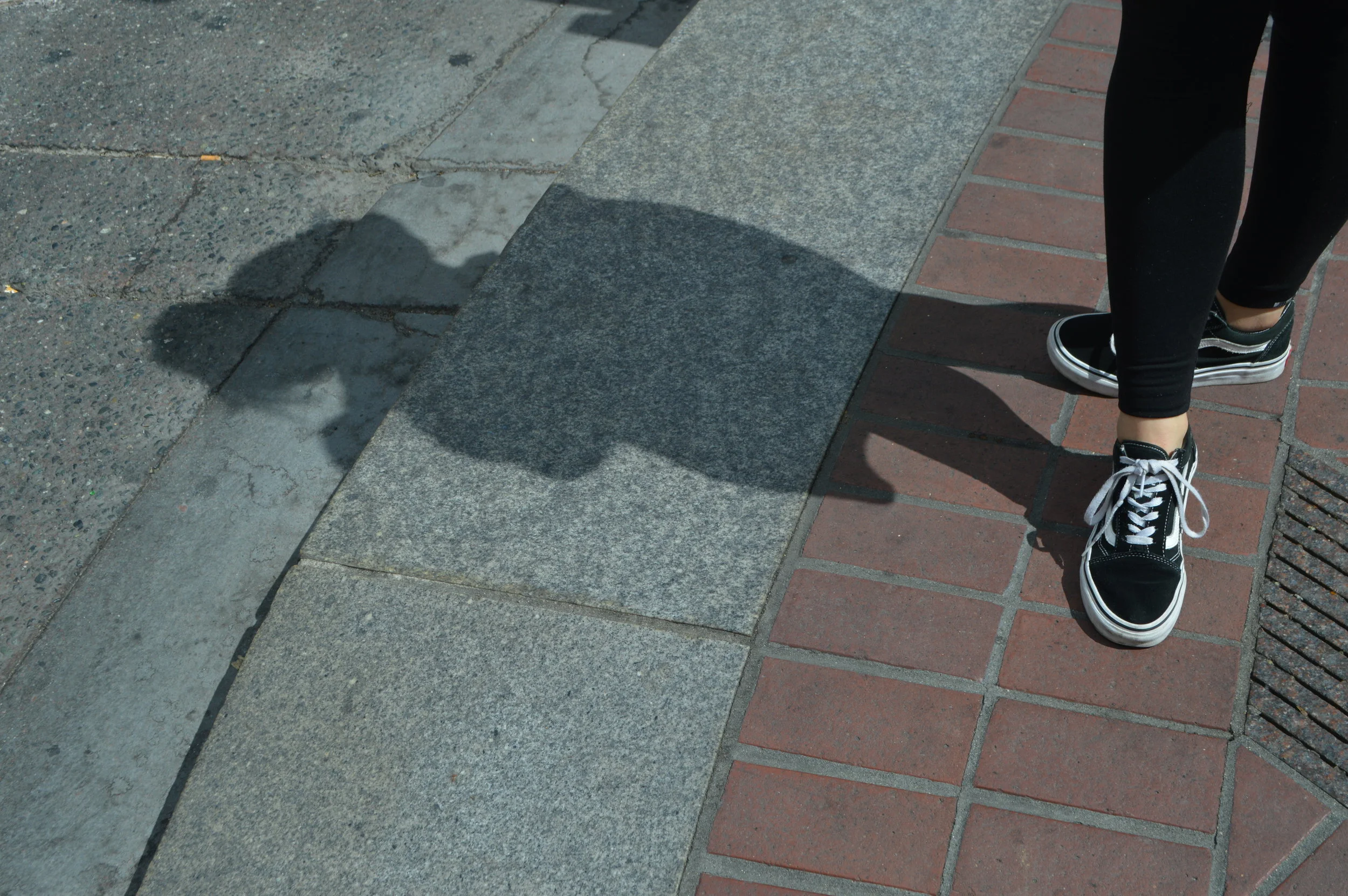 DSC_8884.JPG