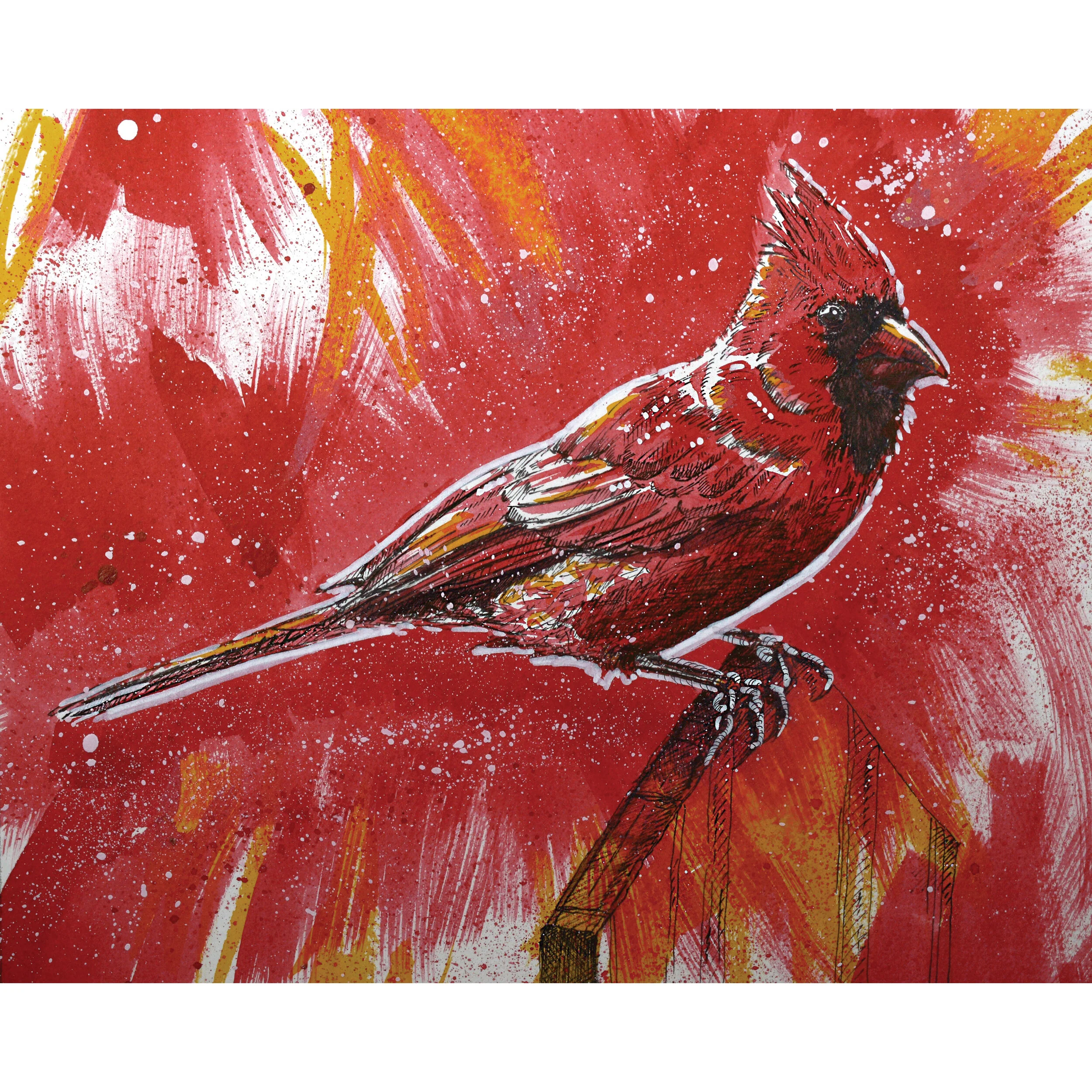 cardinal.jpg