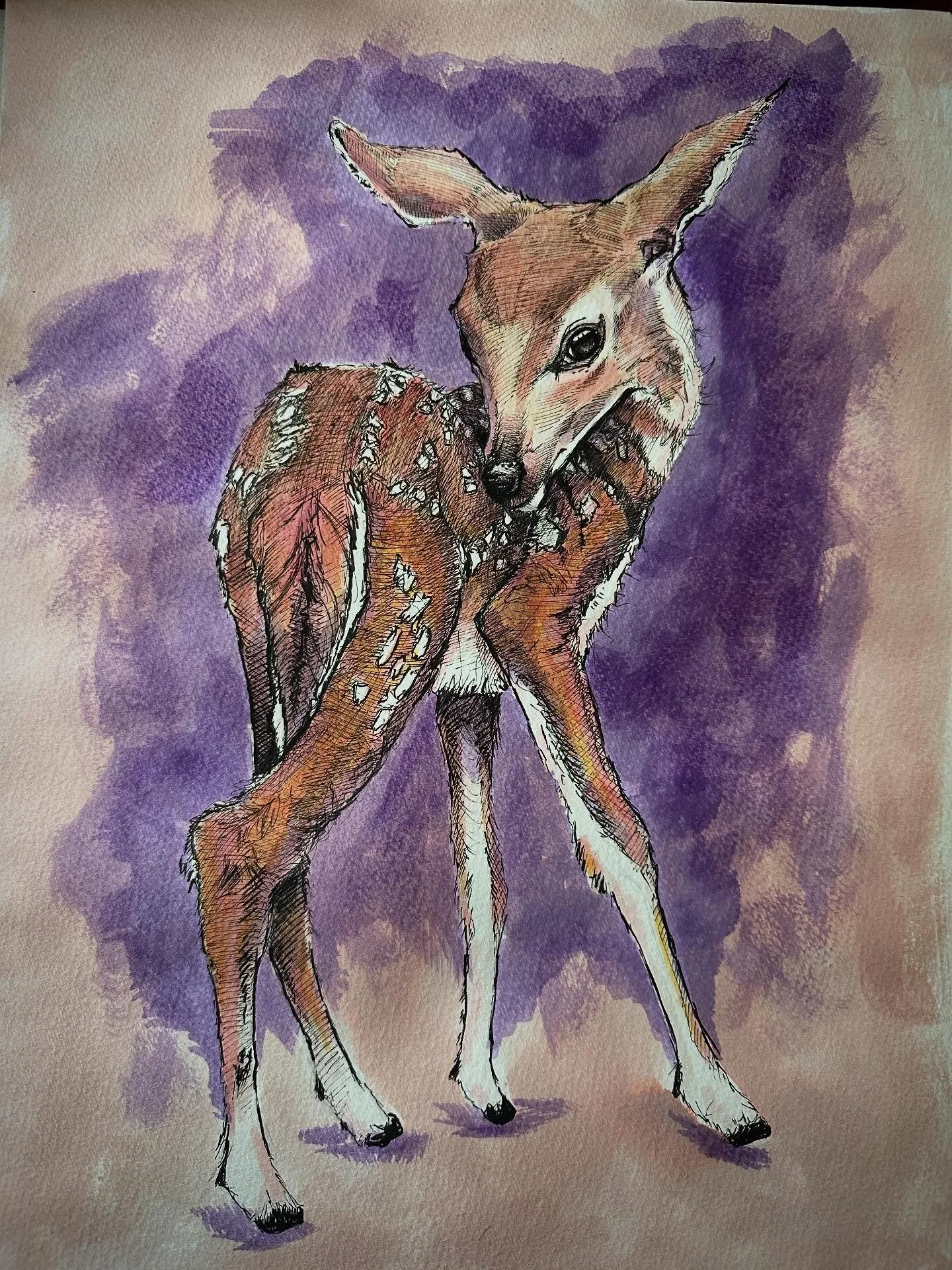 Fawn in Purple, 12x16, original for sale 
.
.#fawn #fawnart #deer #deerart #bambi #doe
.
.
. 
. 
#sketch #ink #ocnyarts #hudsonvalleyart #nyartist #warwickartist #arttobuy #hudsonvalleyartist #customart #art #customgift #blackworknow #inkedartgroup #