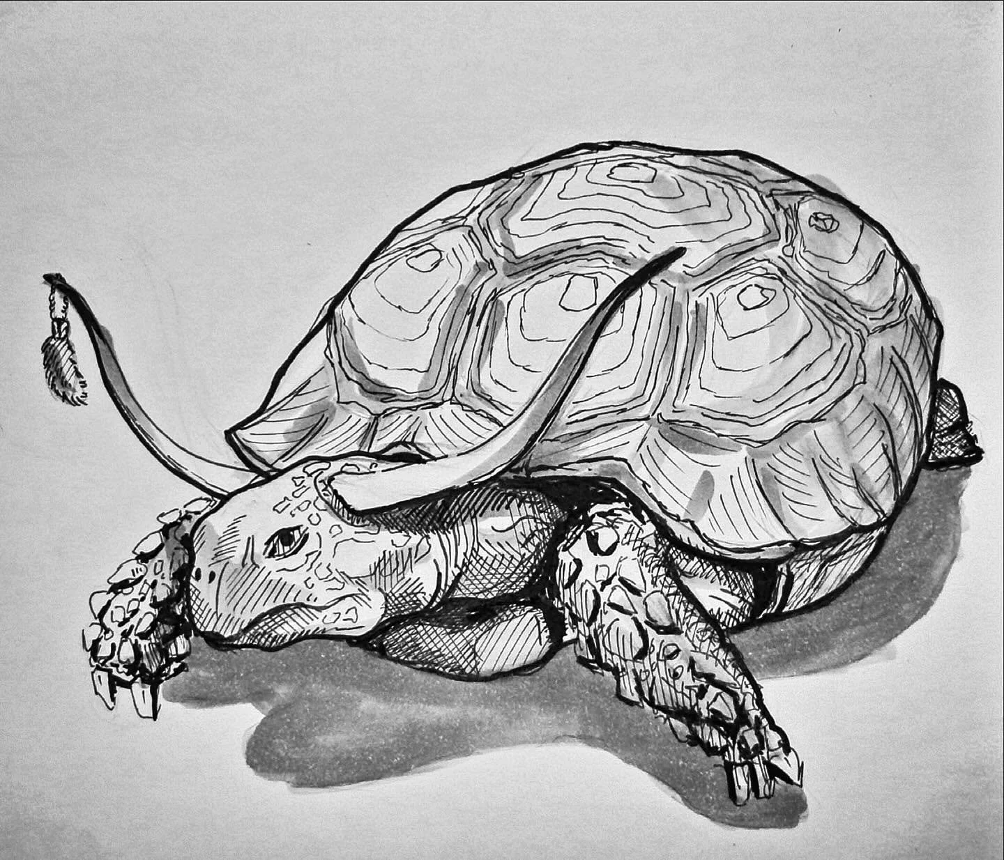 The Majestic Tortalope 🐢
.
.#turtle #tortoise #hybrid #turtleart #rabbitsfoot 
.
.
. 
. 
#sketch #ink #ocnyarts #hudsonvalleyart #nyartist #warwickartist #arttobuy #hudsonvalleyartist #customart #art #customgift #blackworknow #inkedartgroup #illustr