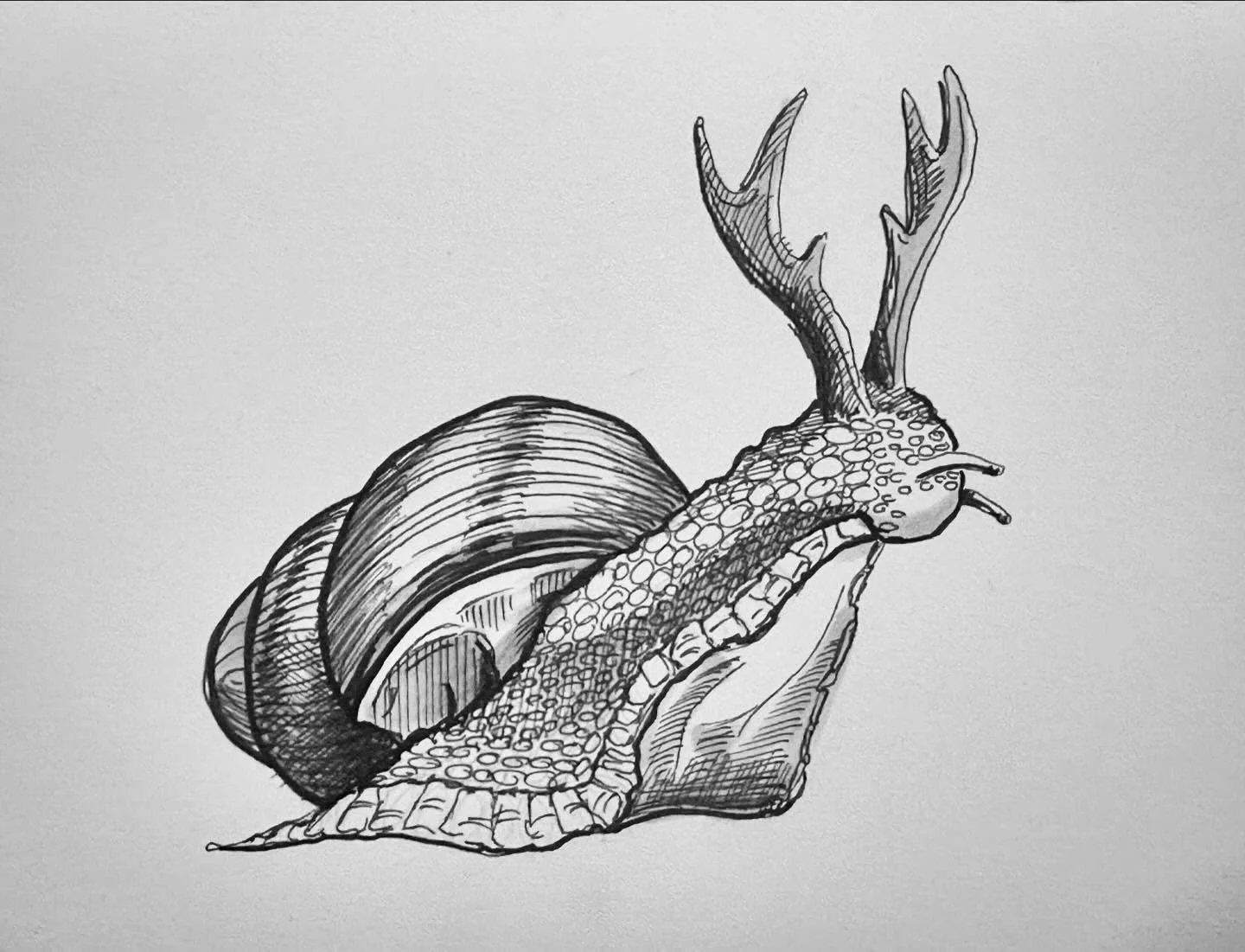 The mighty Snailalope. 🐌
.
.#snail #antlers #snailart 
.
.
. 
. 
#sketch #ink #ocnyarts #hudsonvalleyart #nyartist #warwickartist #arttobuy #hudsonvalleyartist #customart #art #customgift #blackworknow #inkedartgroup #illustration #inkart #illustrat