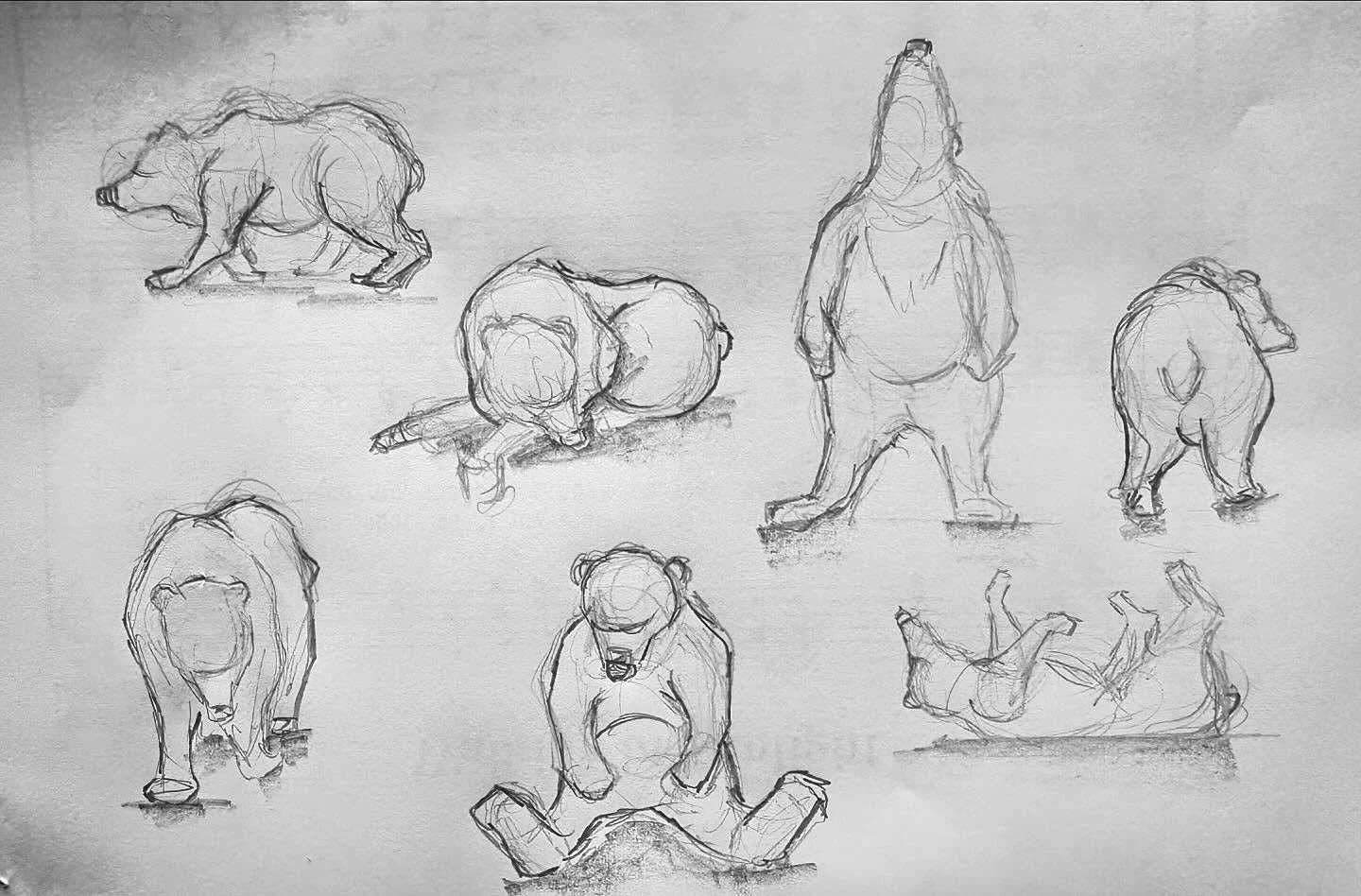 🐻 Some beary loose Sunday sketches. #sundaysketch #sundaysketches #bear #bears #beardrawing