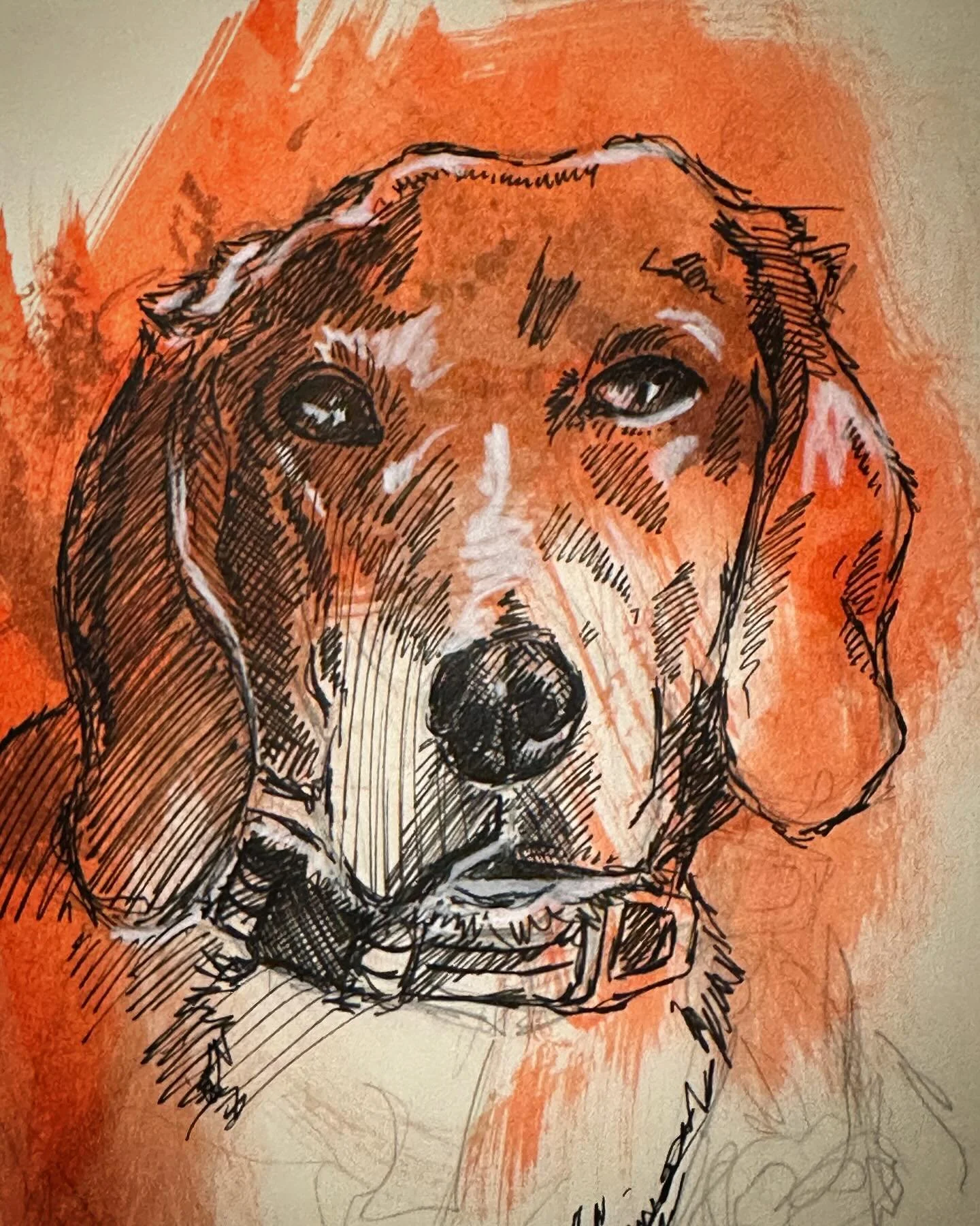 Klaus, our sweet foxhound. 🦮 See more of Klaus at @westley_and_klaus 
.
.#foxhound #foxhoundart #dogart #dogportrait 
.
.
. 
. 
#sketch #ink #ocnyarts #hudsonvalleyart #nyartist #warwickartist #arttobuy #hudsonvalleyartist #customart #art #customgif